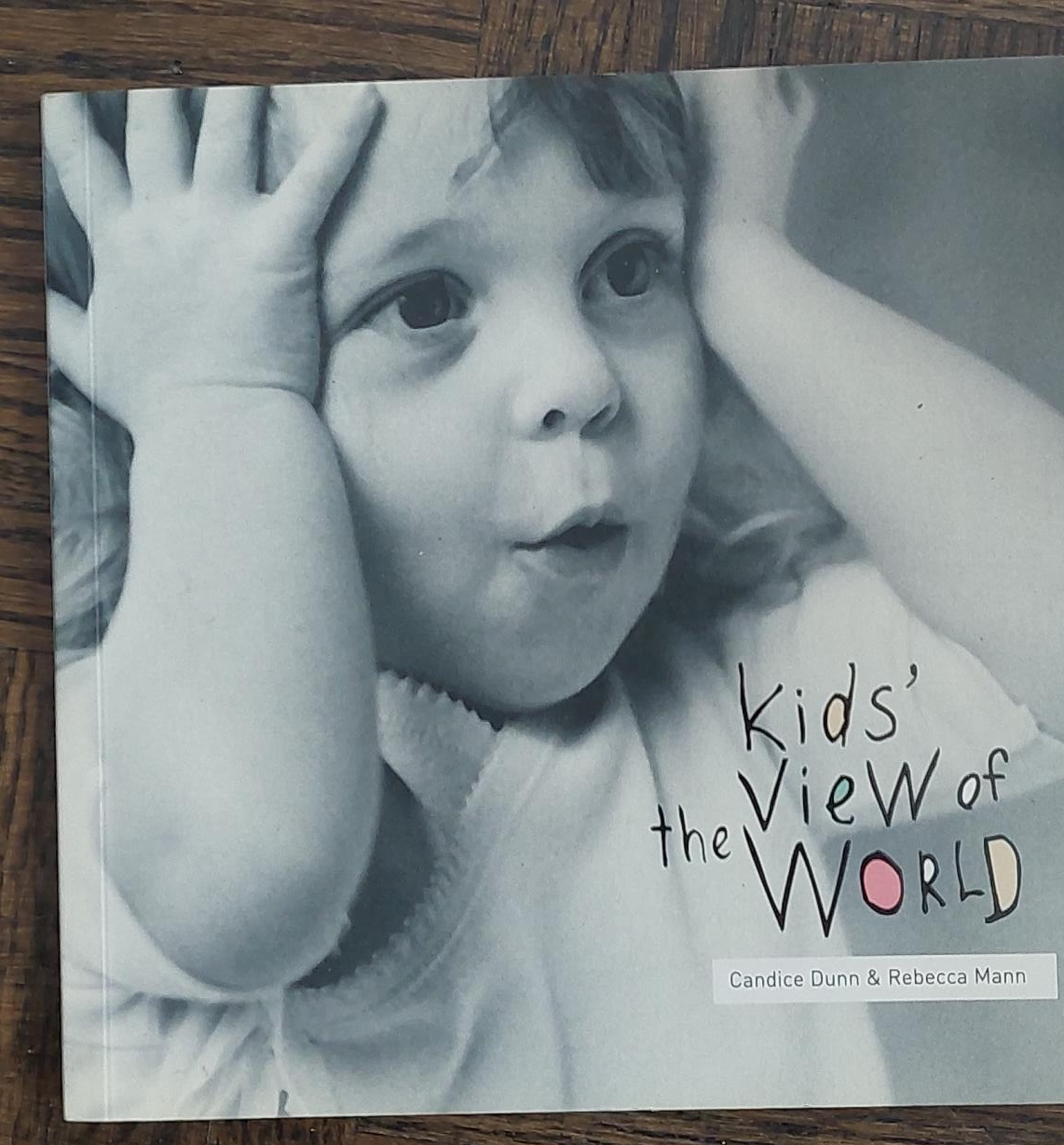 Kids' the View of the World by Candice Dunn & Rebecca Mann thumbnail