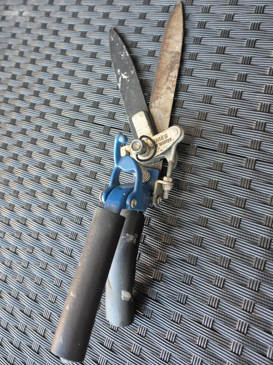 AMES Pruner Shears thumbnail