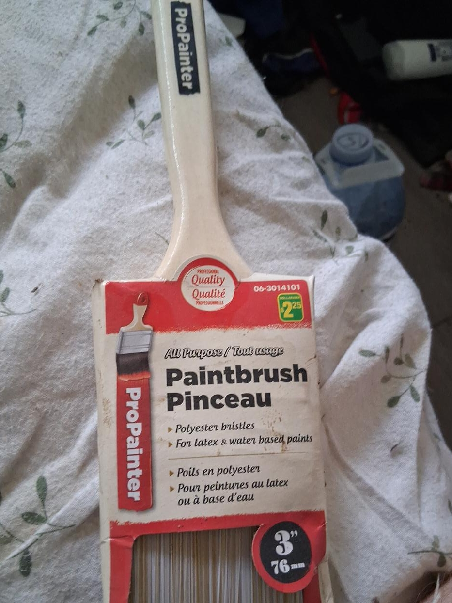 ProPainter 3" Paintbrush - New thumbnail