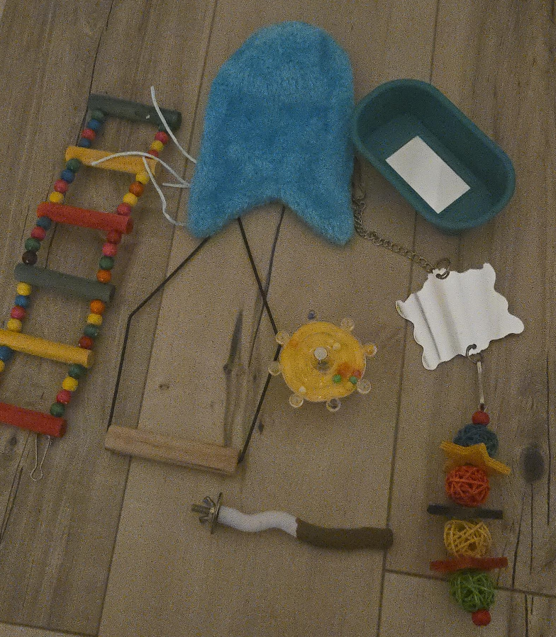 Bird Cage Accessories Bundle thumbnail