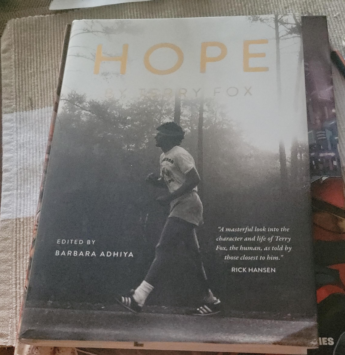 Hope by Terry Fox thumbnail