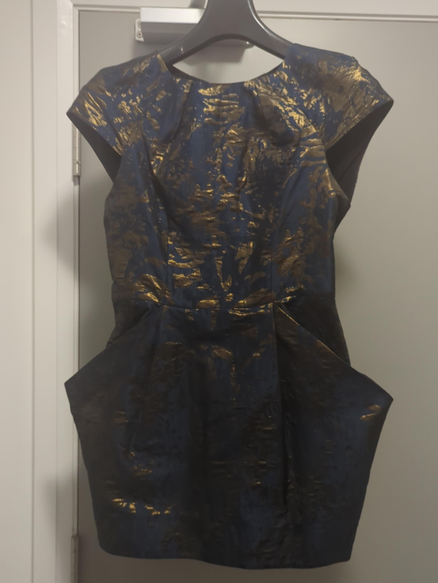 AllSaints Opulence Dress - Size 6 image indicator(1)
