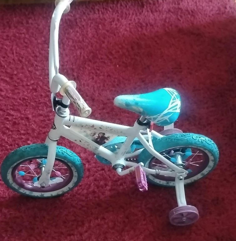 Kids' Bicycle with Training Wheels