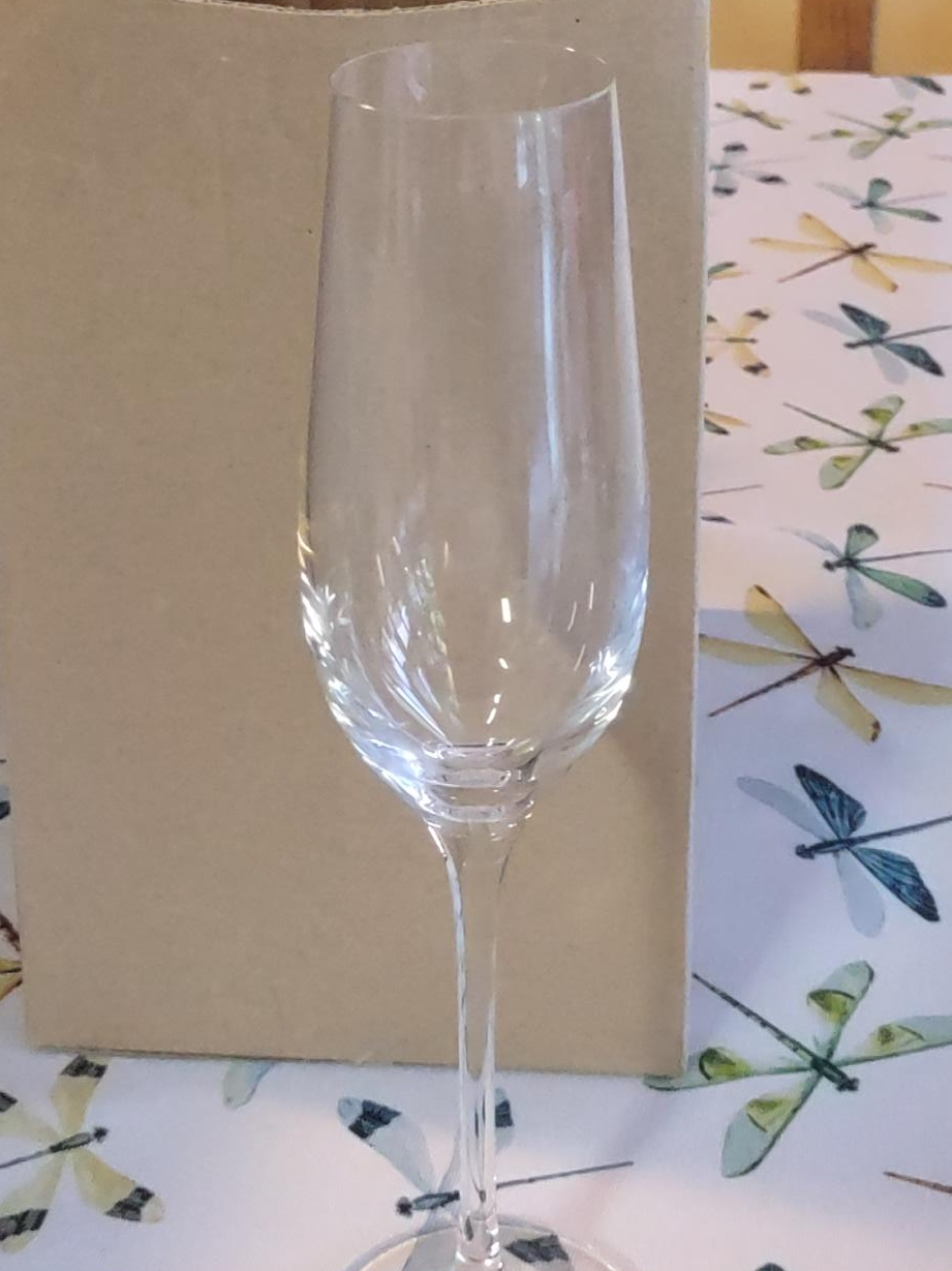 PC Champagne Flutes - Set of 6
