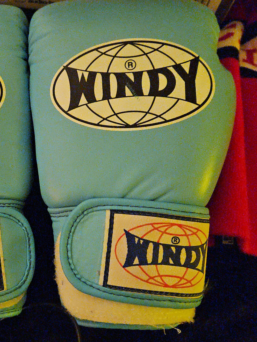 Windy Boxing Gloves