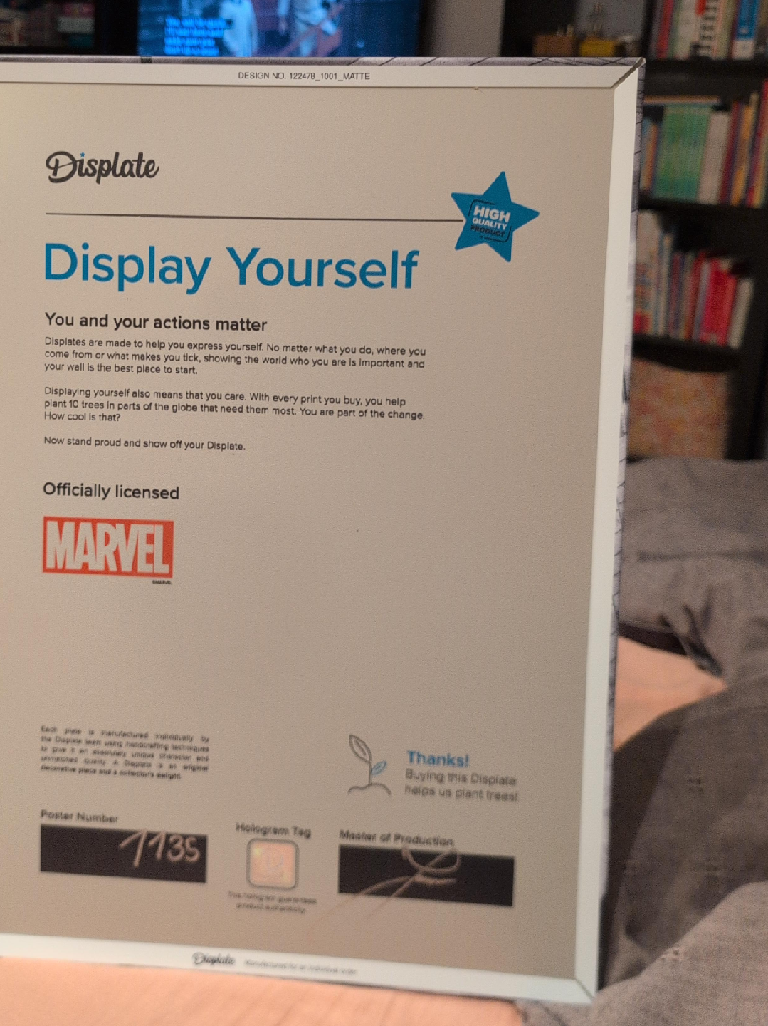 Displate Marvel Miles Morales Poster image indicator(5)