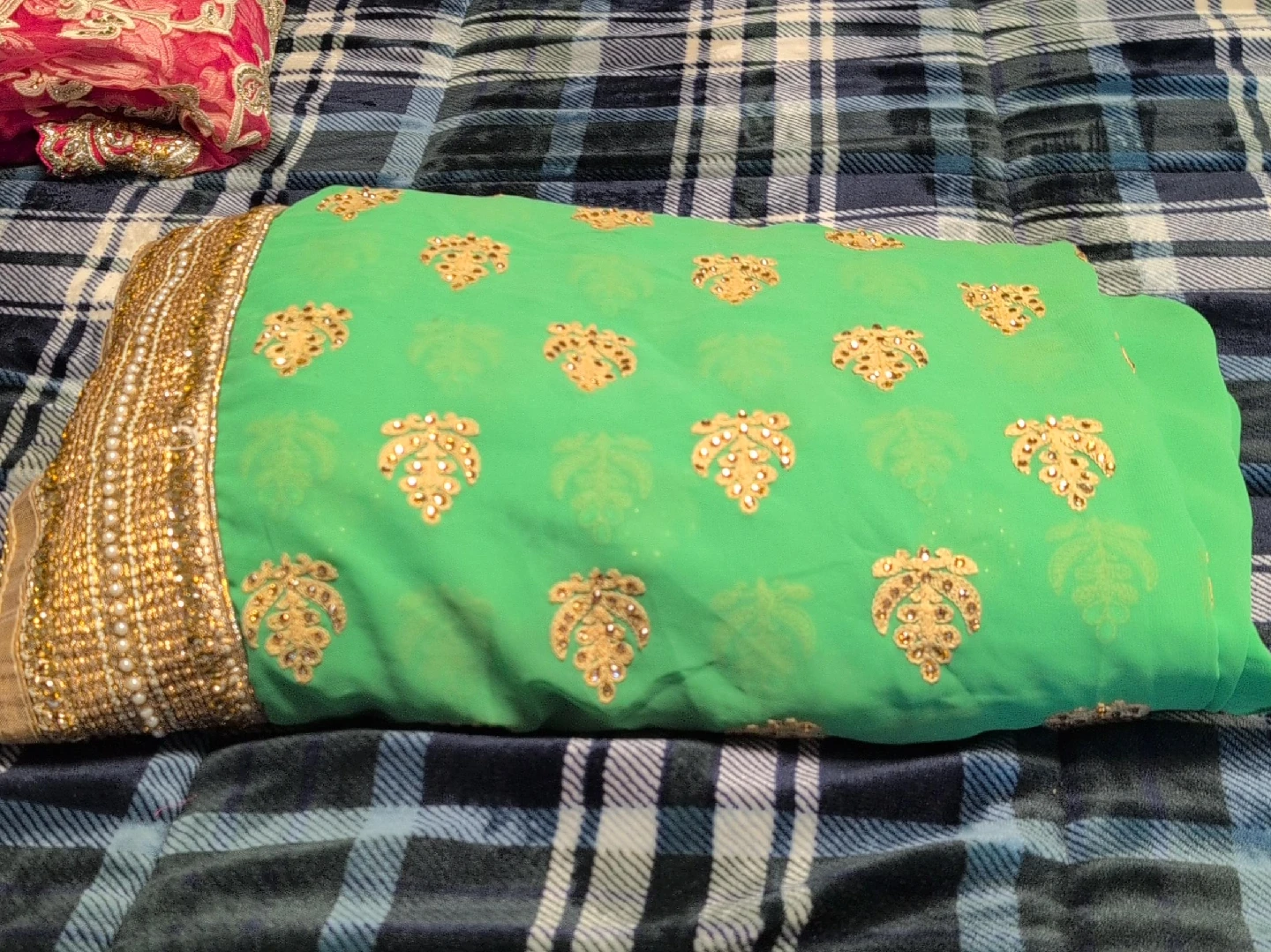 Green & Gold Embellished Saree thumbnail
