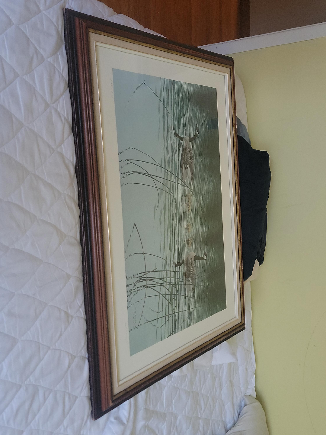 Framed Duck Print thumbnail