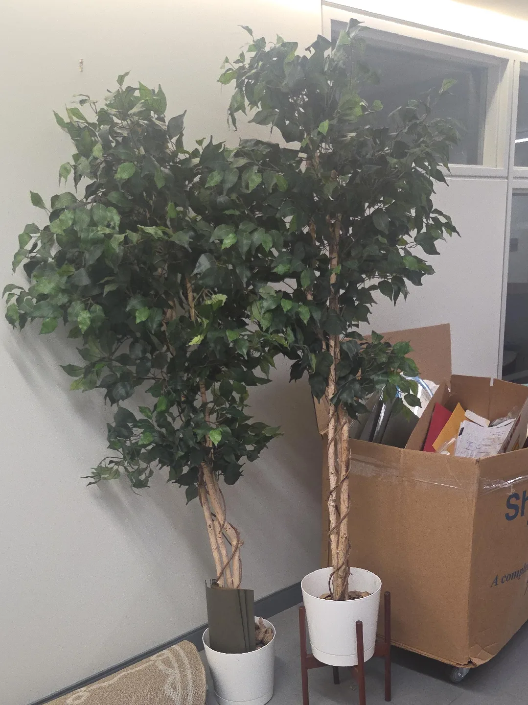 Artificial Ficus Tree