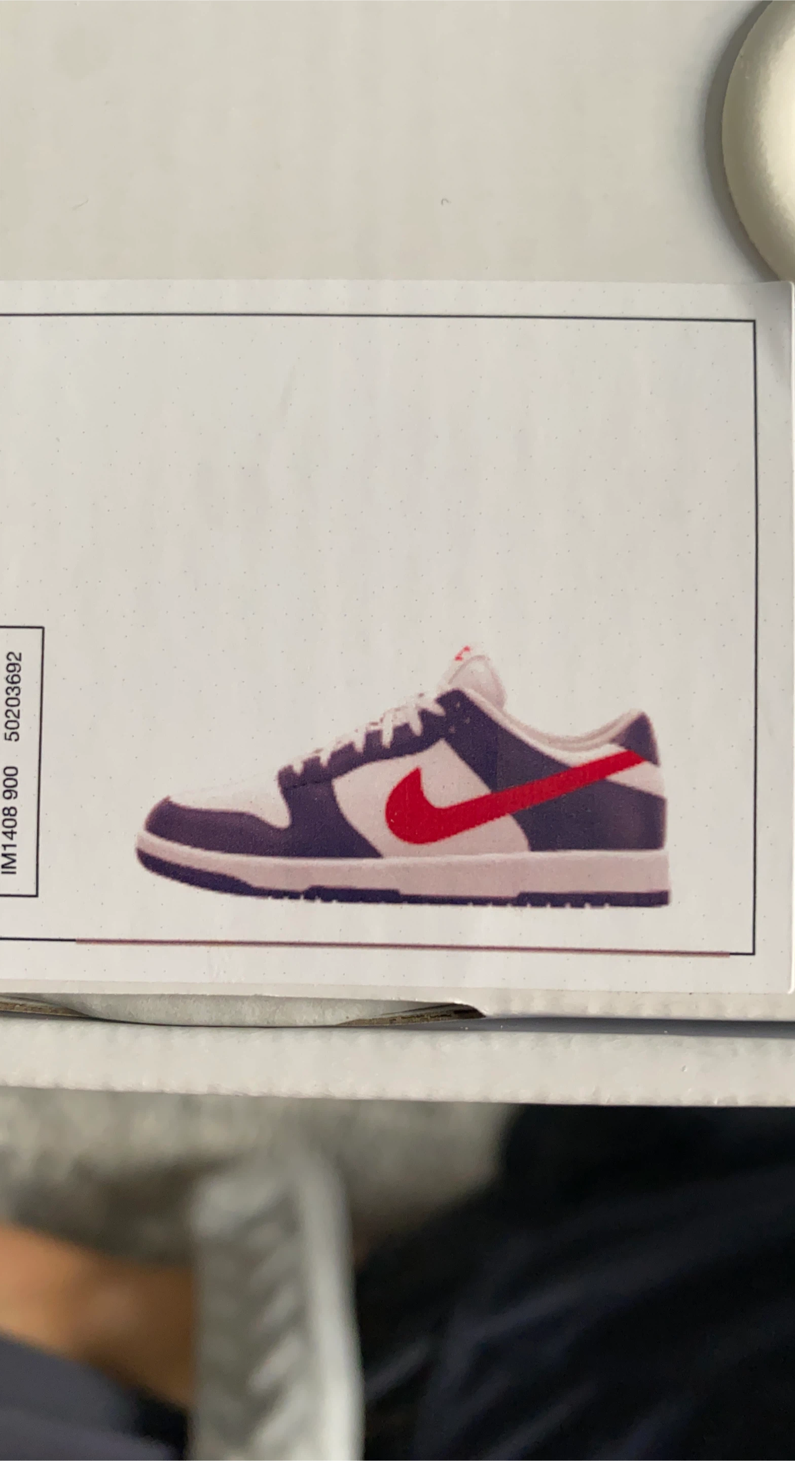 Nike Dunk Low