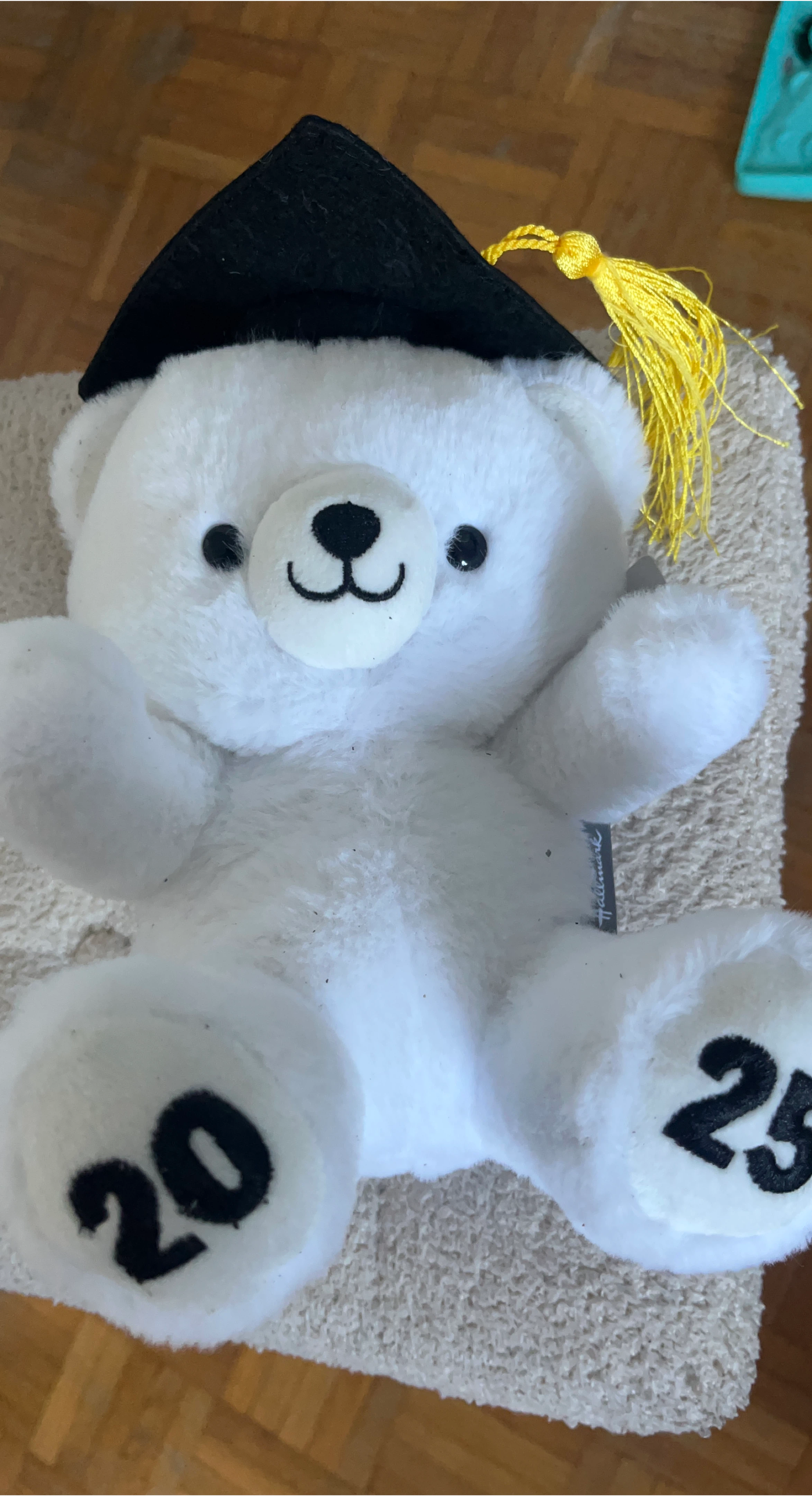 Hallmark Graduation Bear 2025 image indicator(1)
