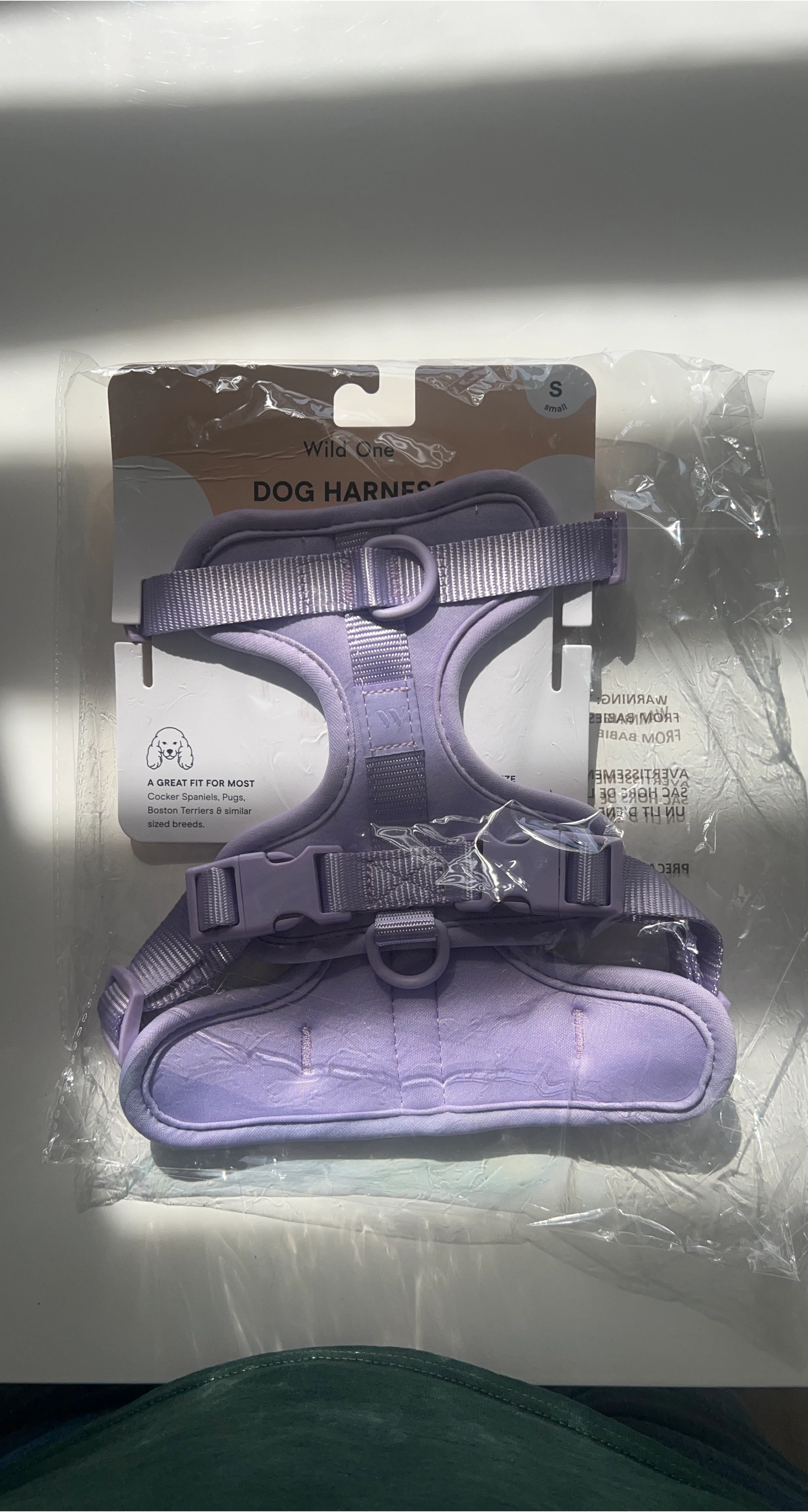 Wild One Dog Harness - Small thumbnail