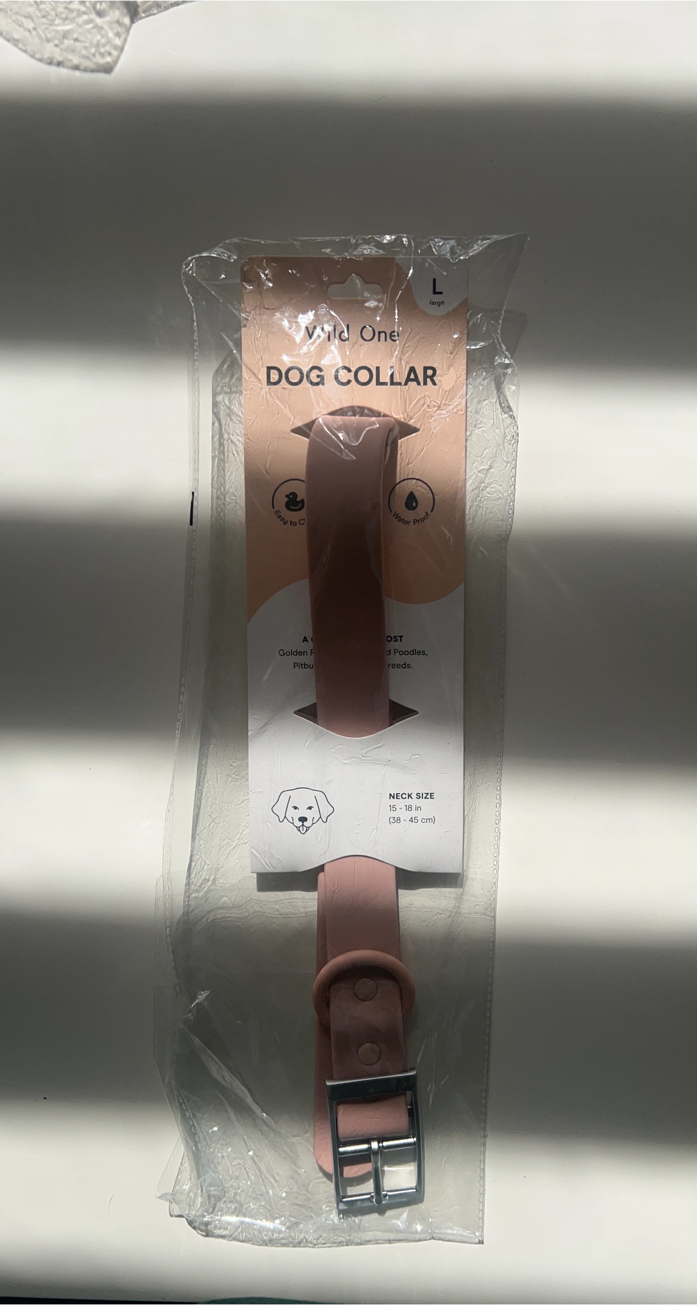 New Wild One Large Dog Collar thumbnail