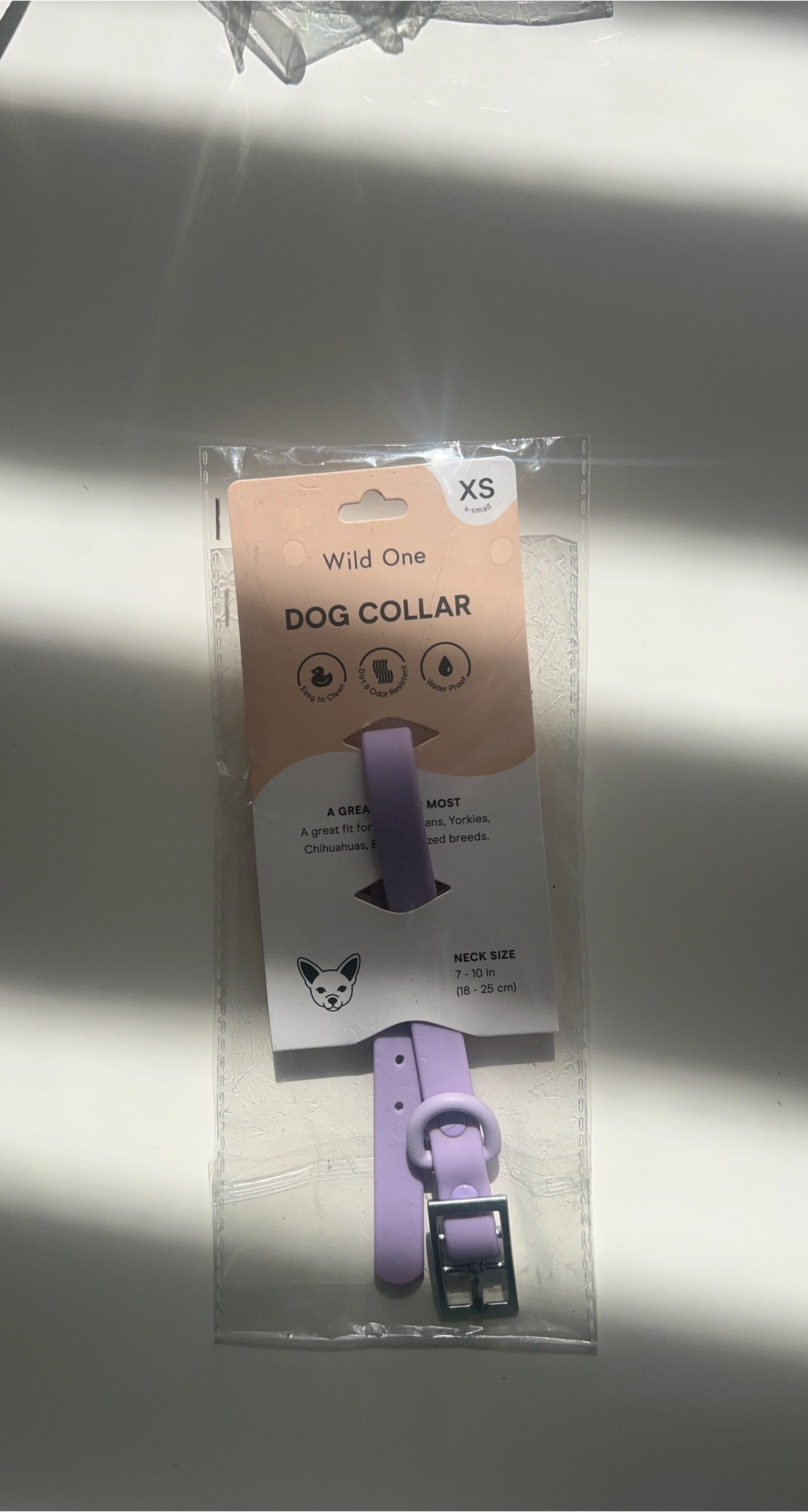 Wild One XS Dog Collar - New in Package! thumbnail