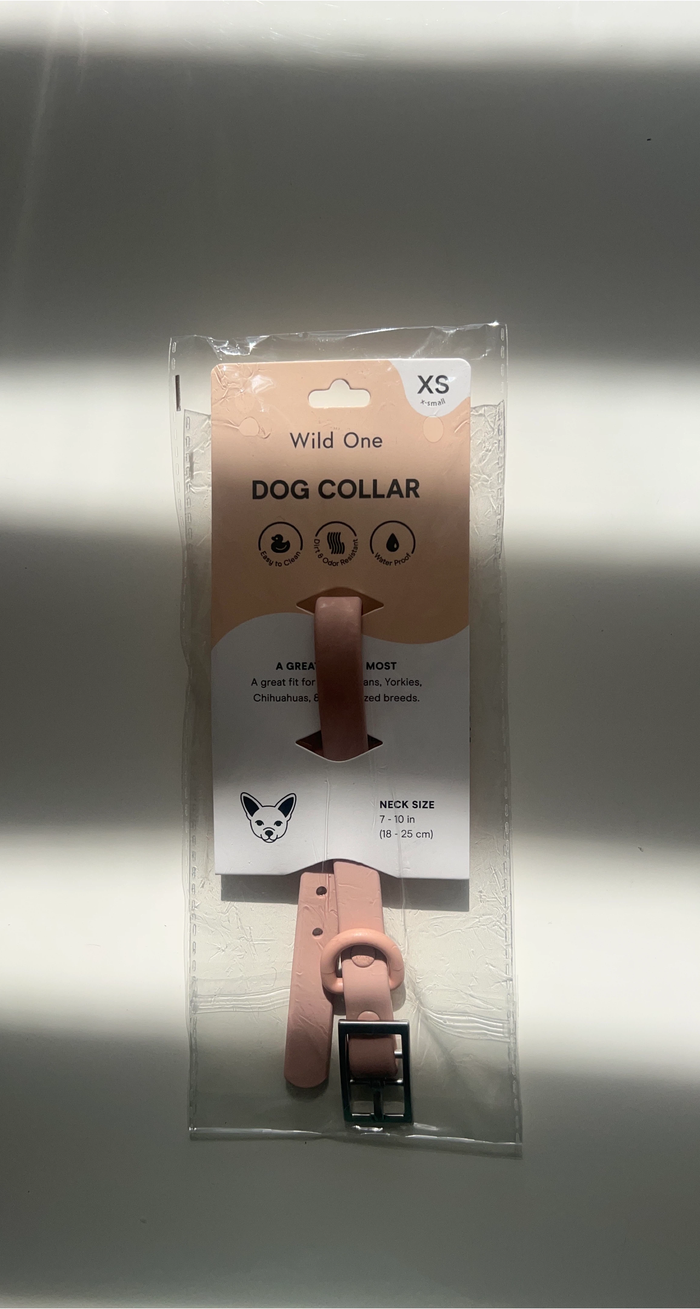 Wild One XS Dog Collar - New in Package! thumbnail