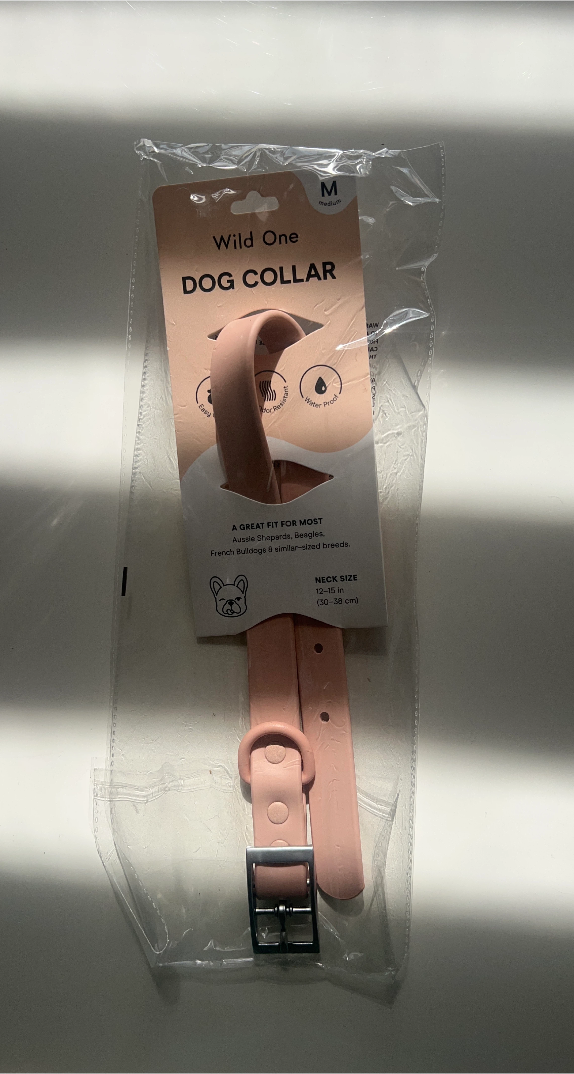 Wild One Dog Collar - Medium (12-15 in) thumbnail
