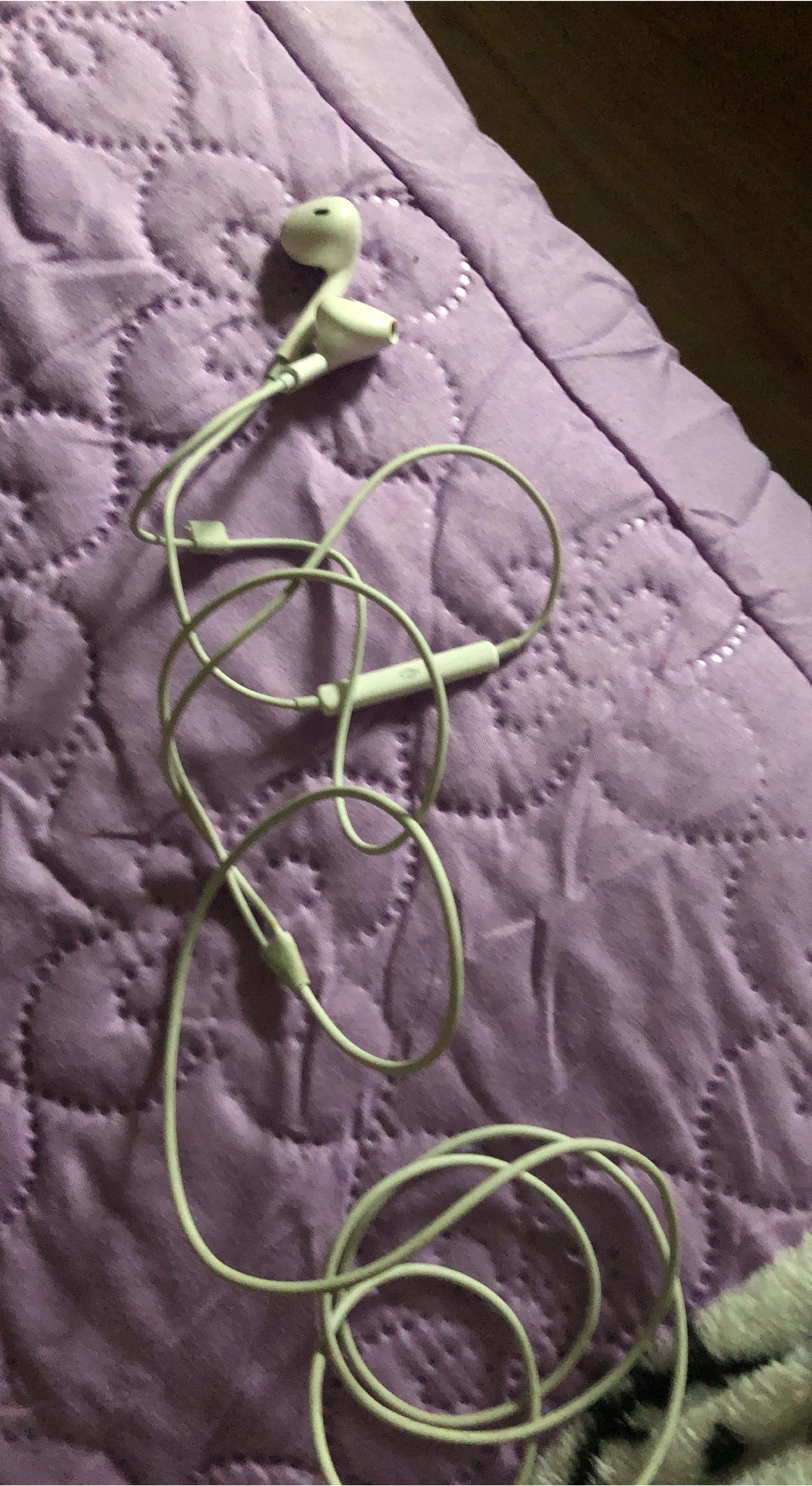 White Wired Earphones