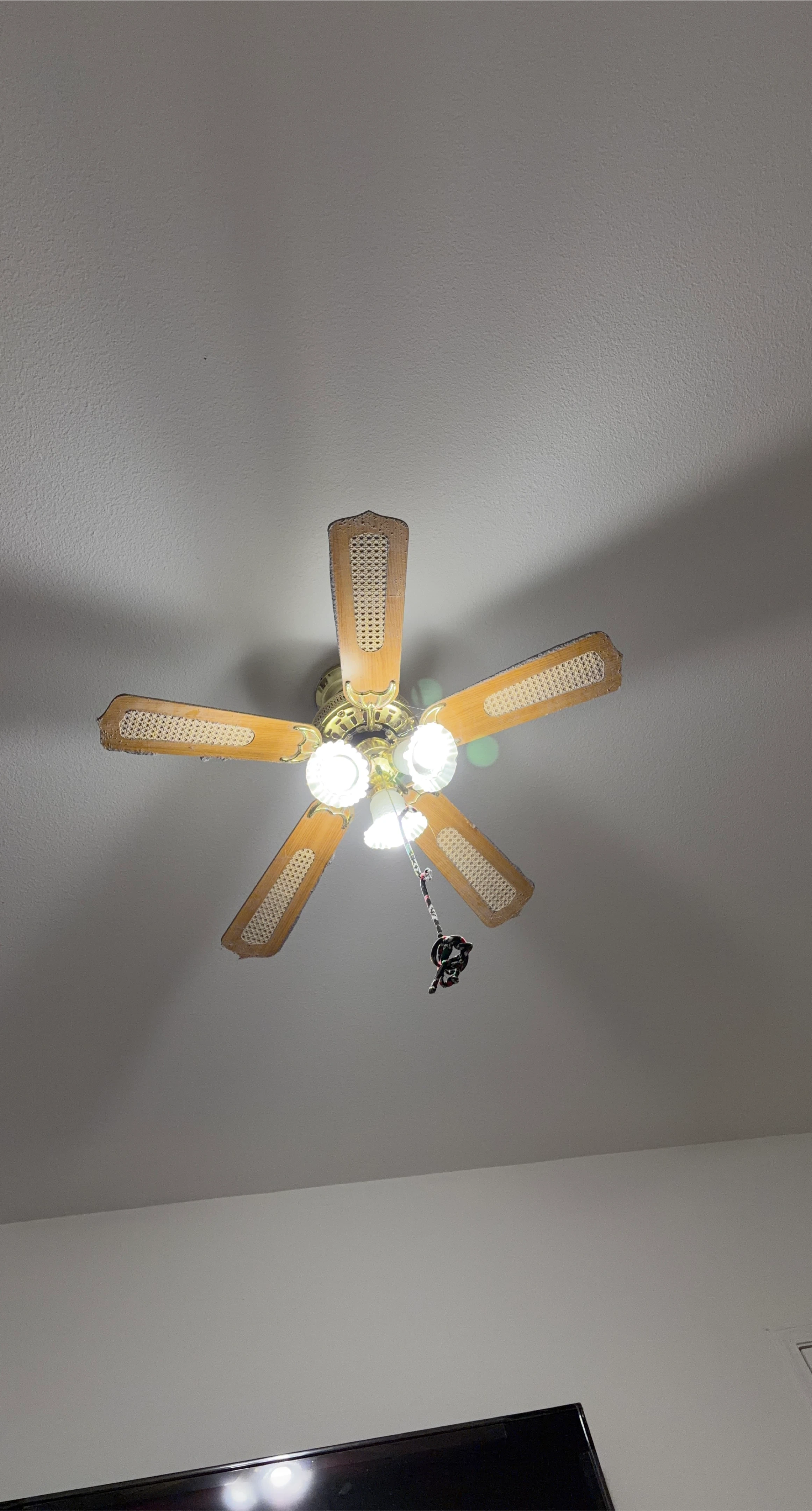 Ceiling Fan with Lights
