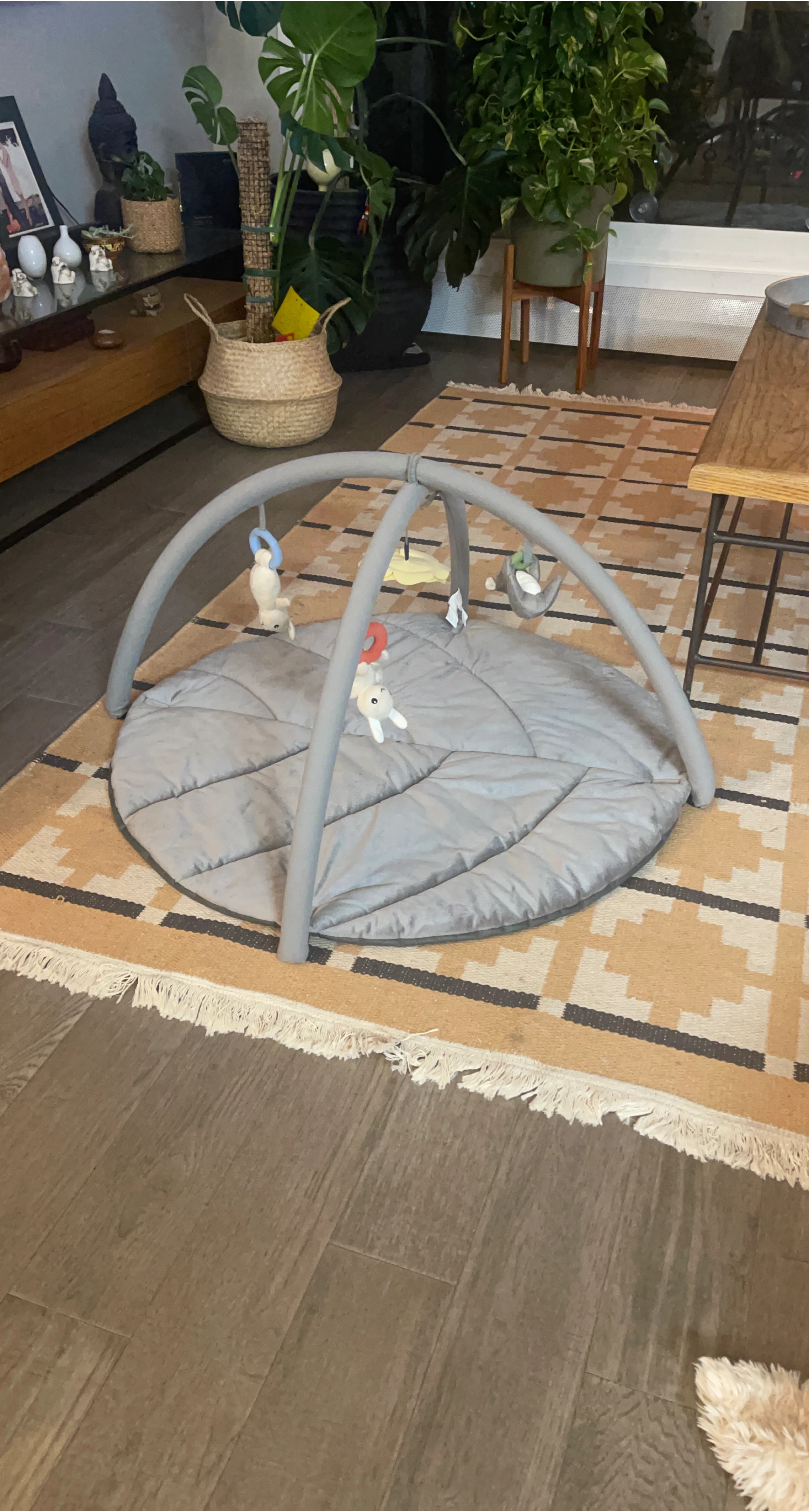 Baby Play Gym thumbnail