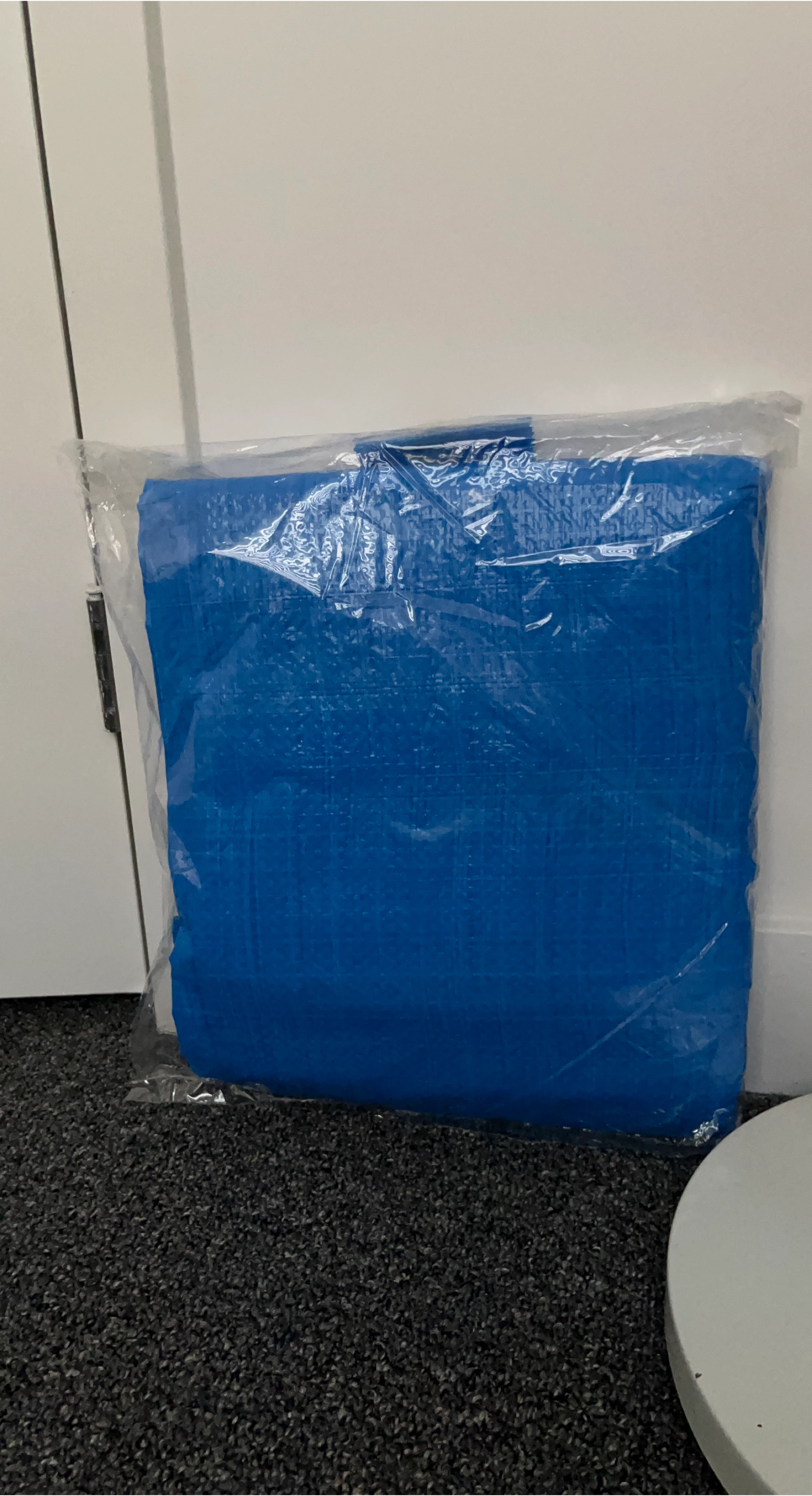 Blue Tarp - New in Package thumbnail
