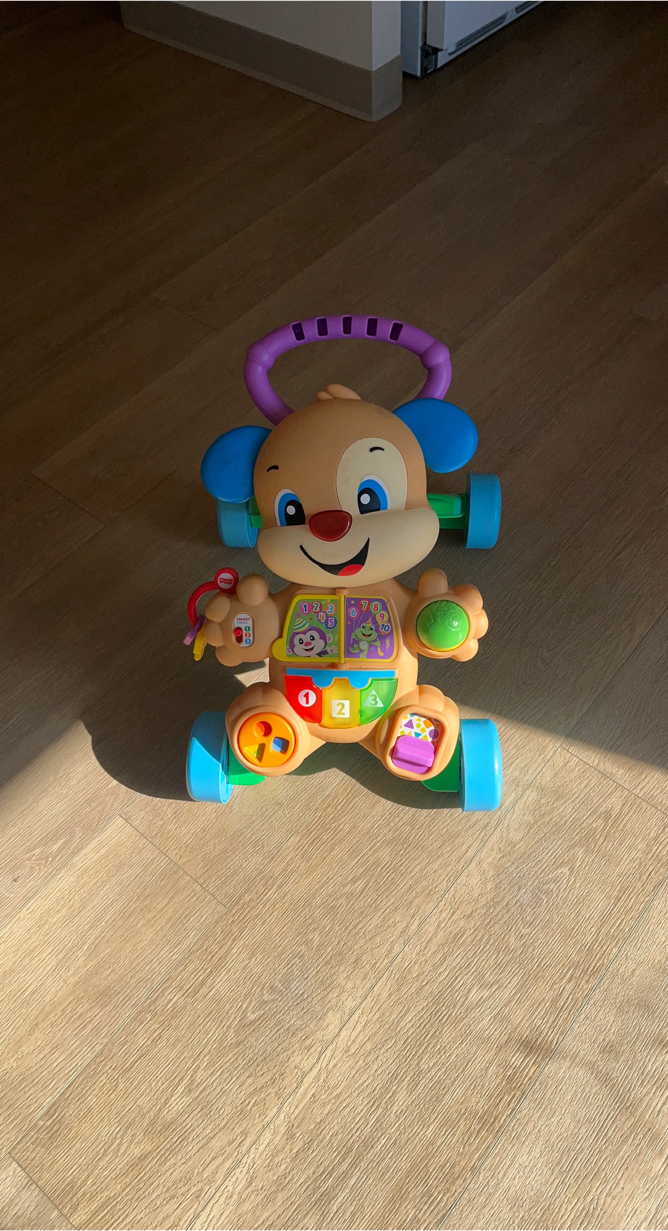 Fisher-Price Laugh & Learn Learn with Puppy Walker
