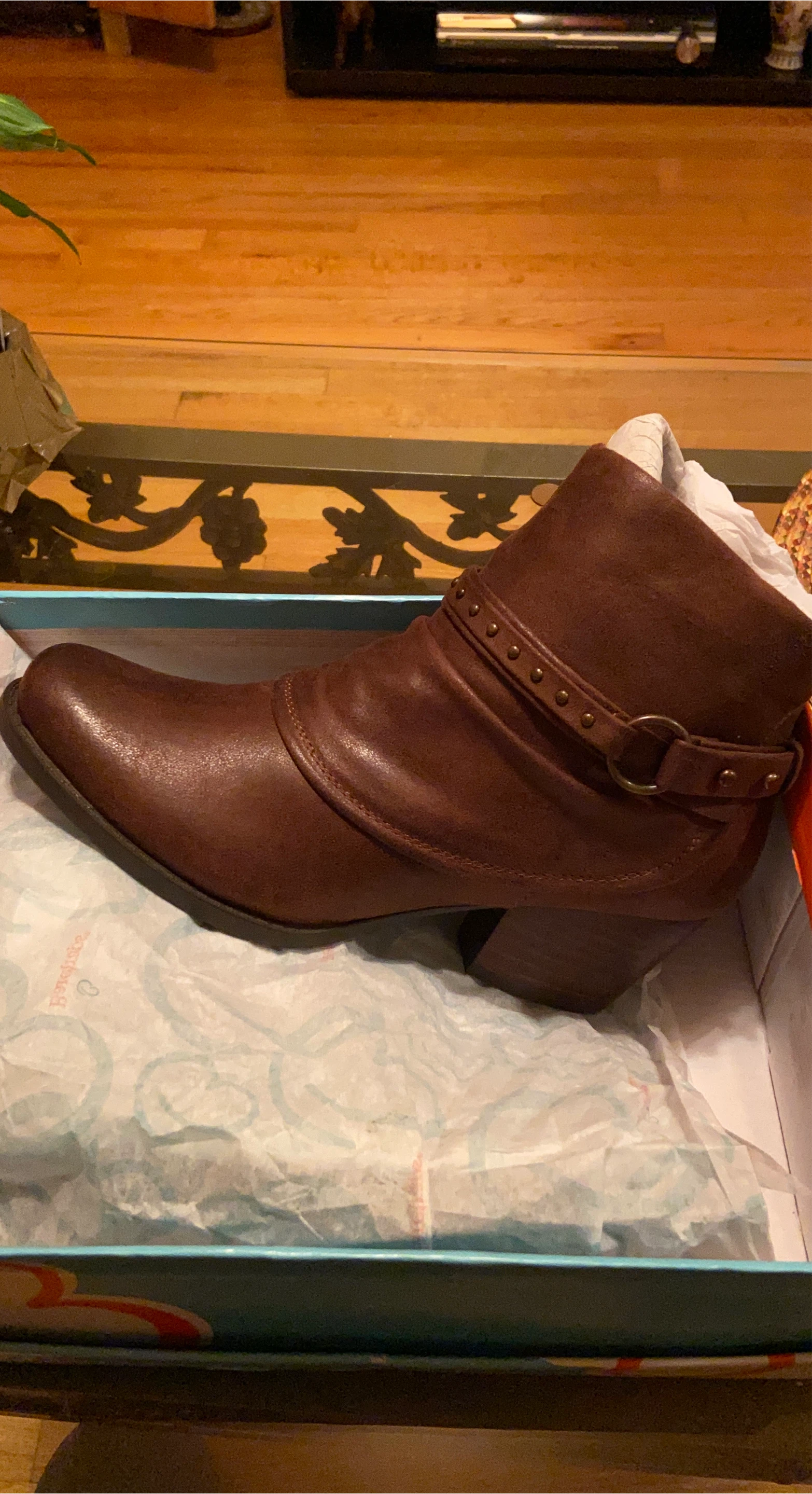 Brown Ankle Boots thumbnail