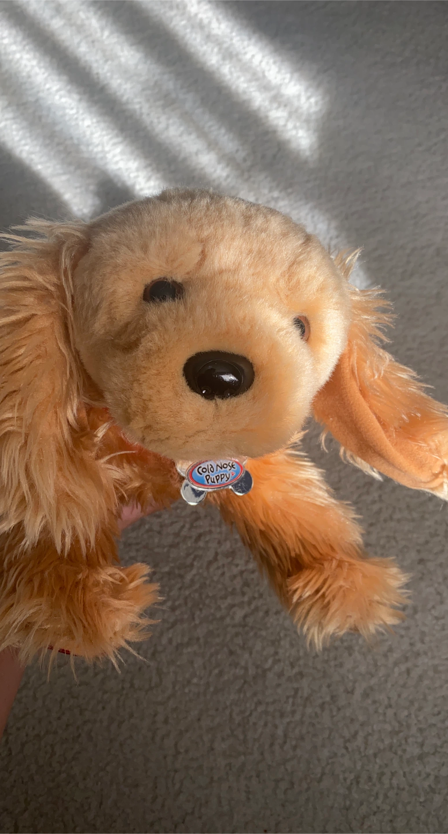 Cold Nose Puppy 🧡 Plush Toy thumbnail