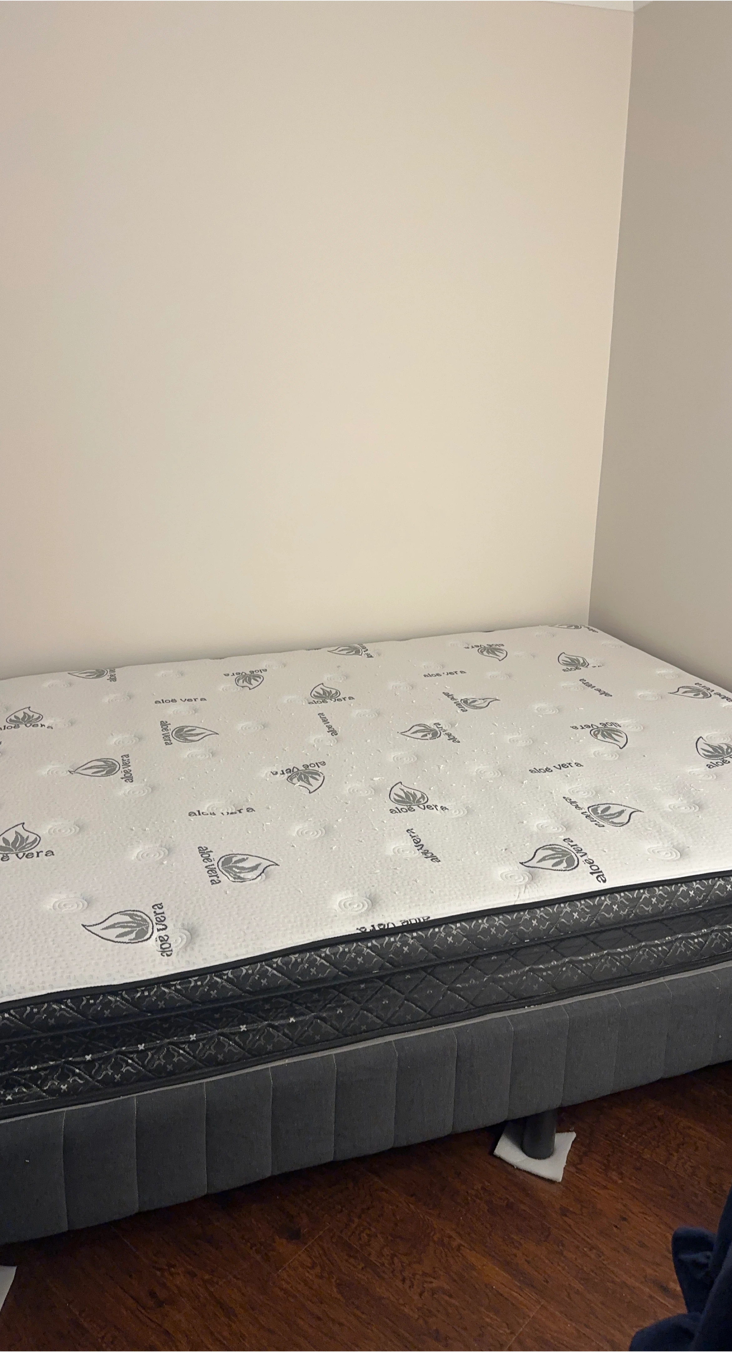 Aloe Vera Mattress + metal frame