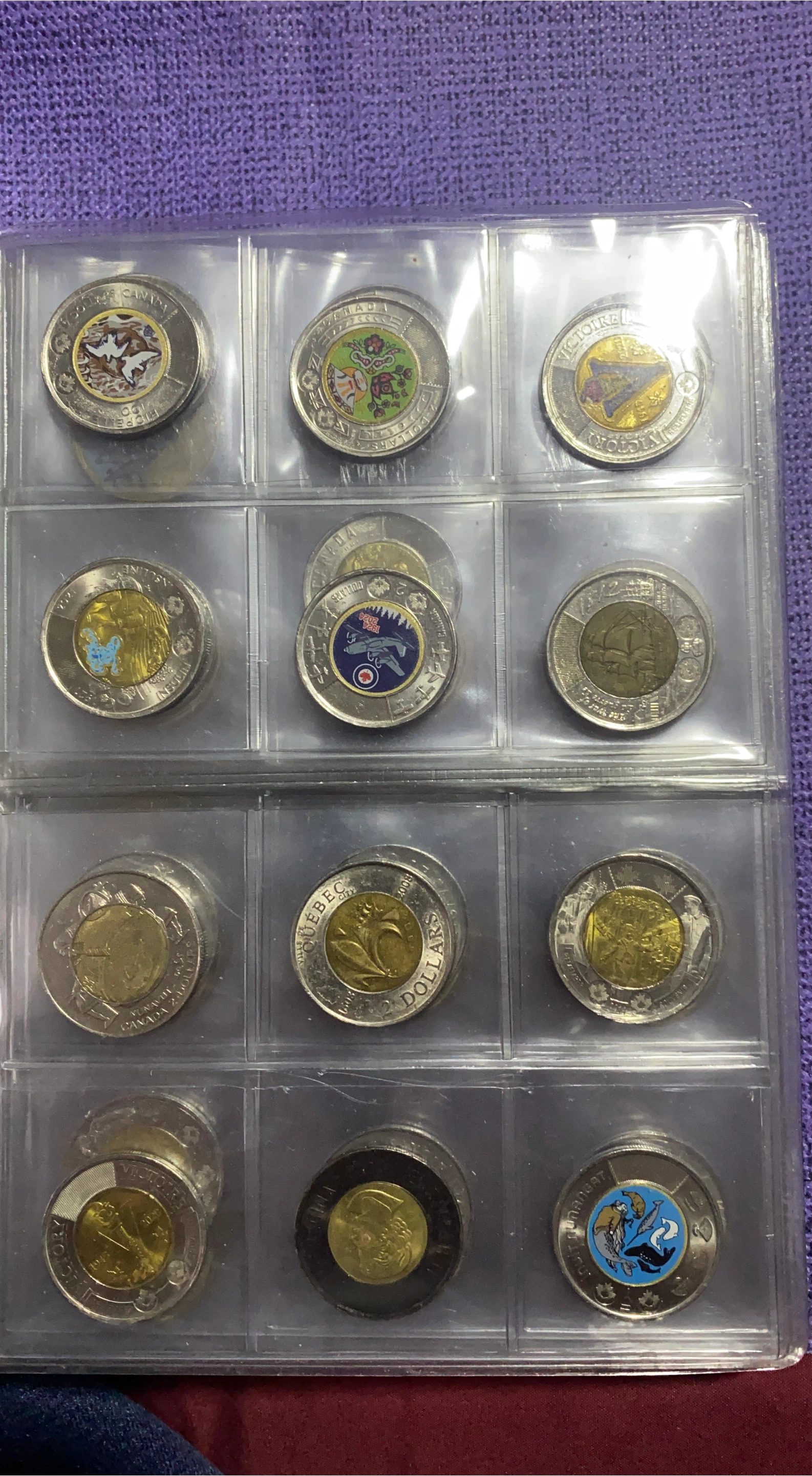 Canadian Toonies Collection thumbnail