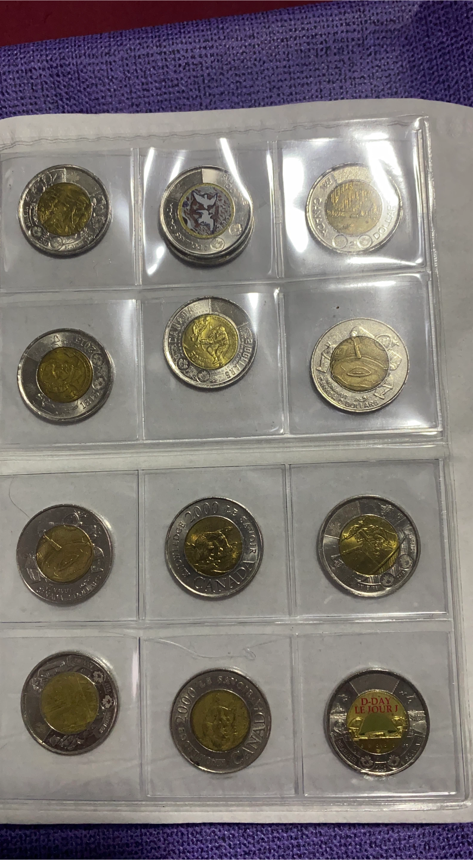 Canadian Toonies Collection thumbnail