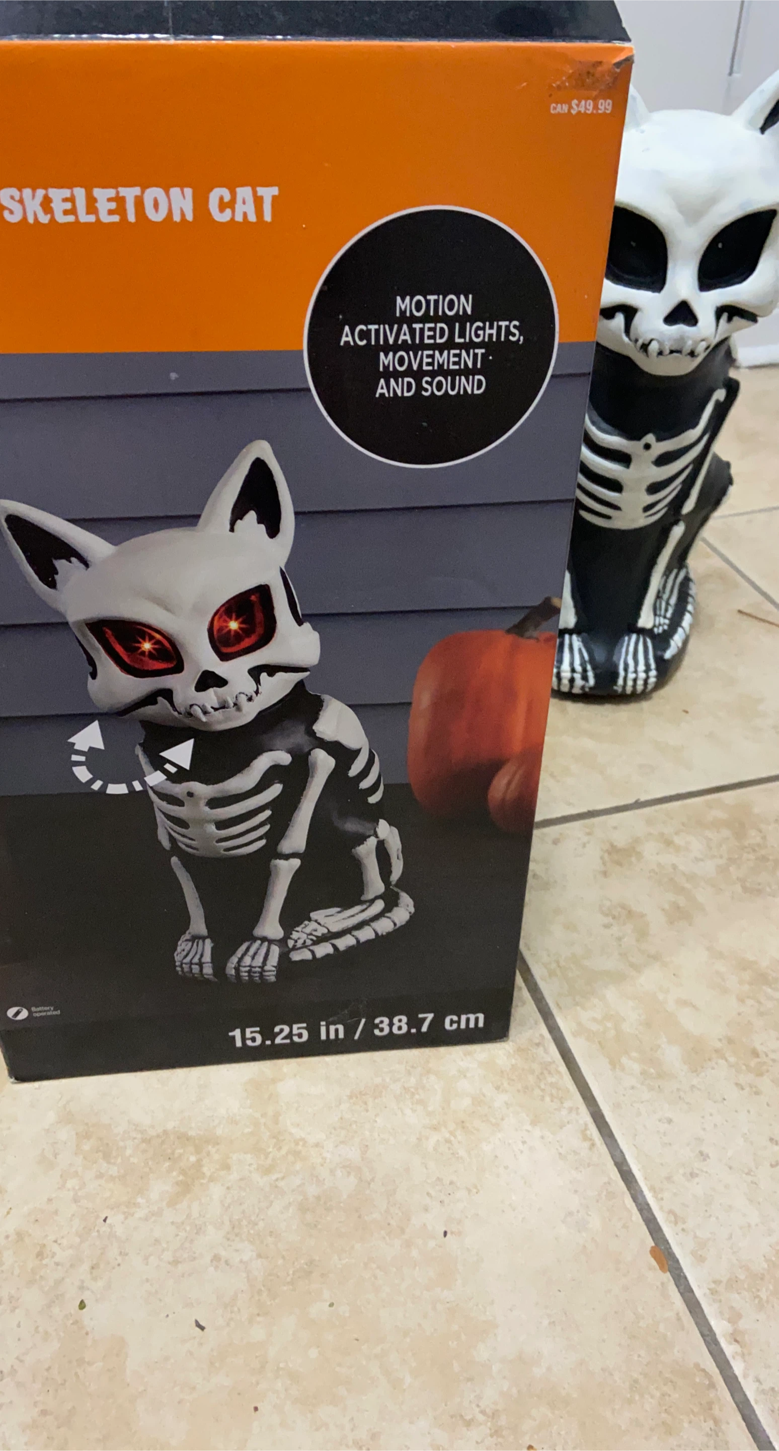 Skeleton Cat - Motion Activated Lights & Sound thumbnail