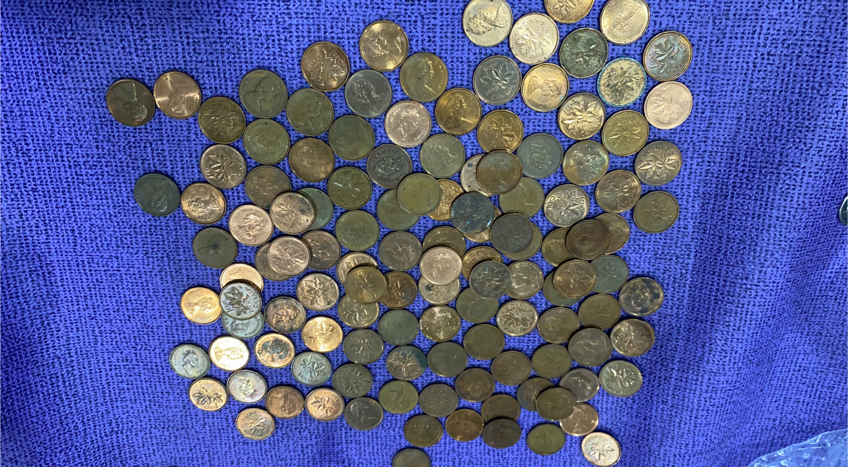 110 Canadian One Cent Coins thumbnail