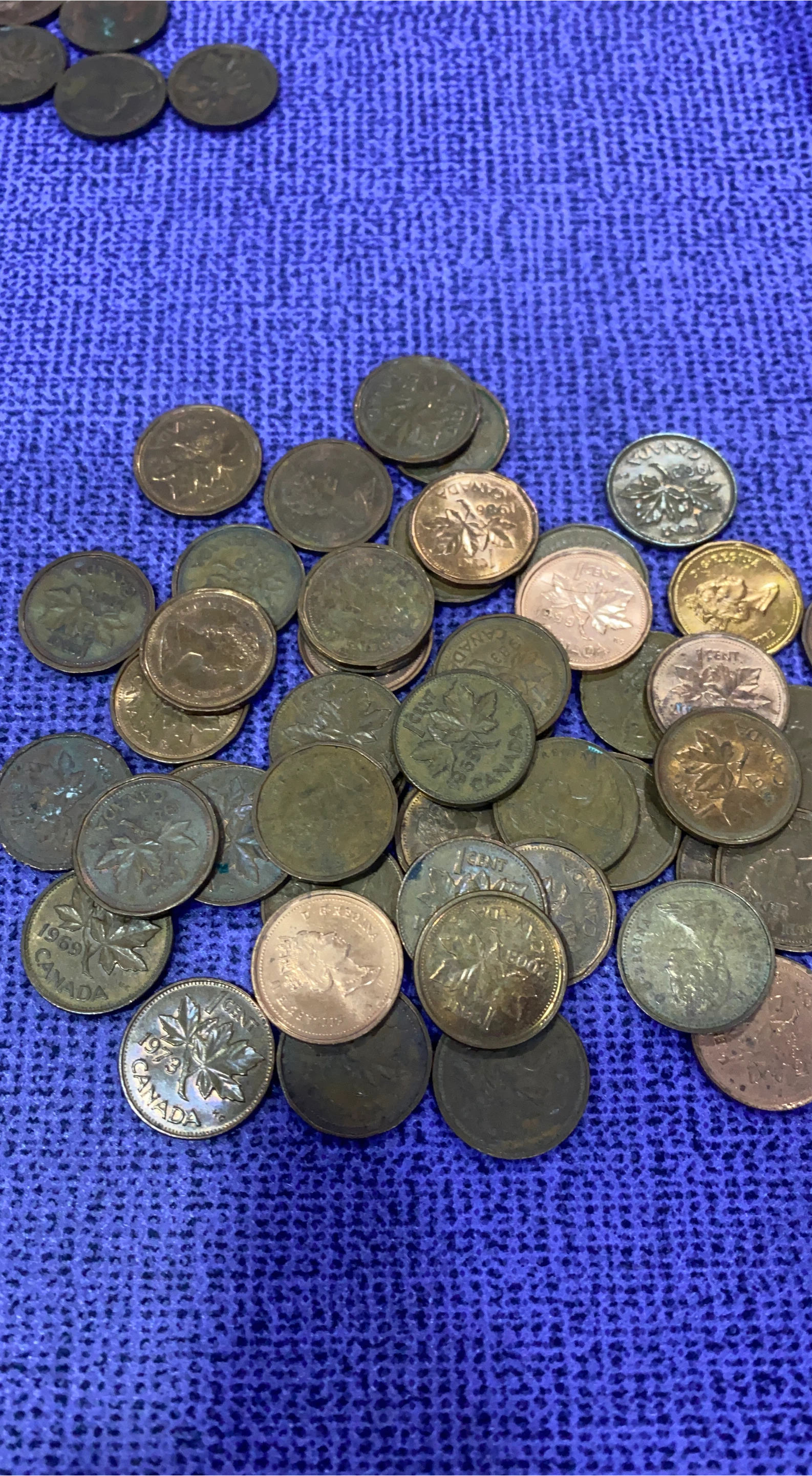 50 Canada 1 Cent Coins thumbnail