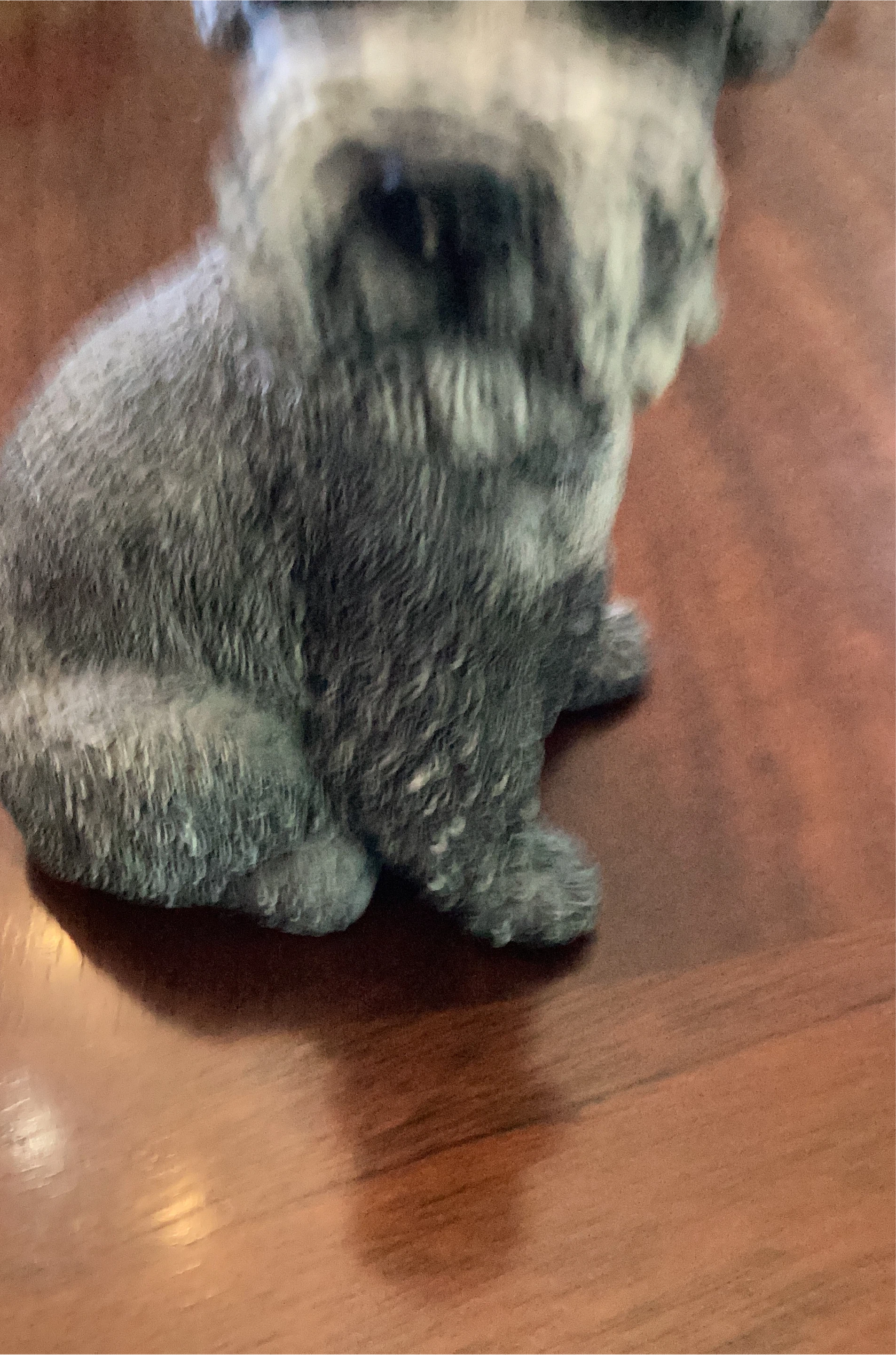 Dog Figurine thumbnail