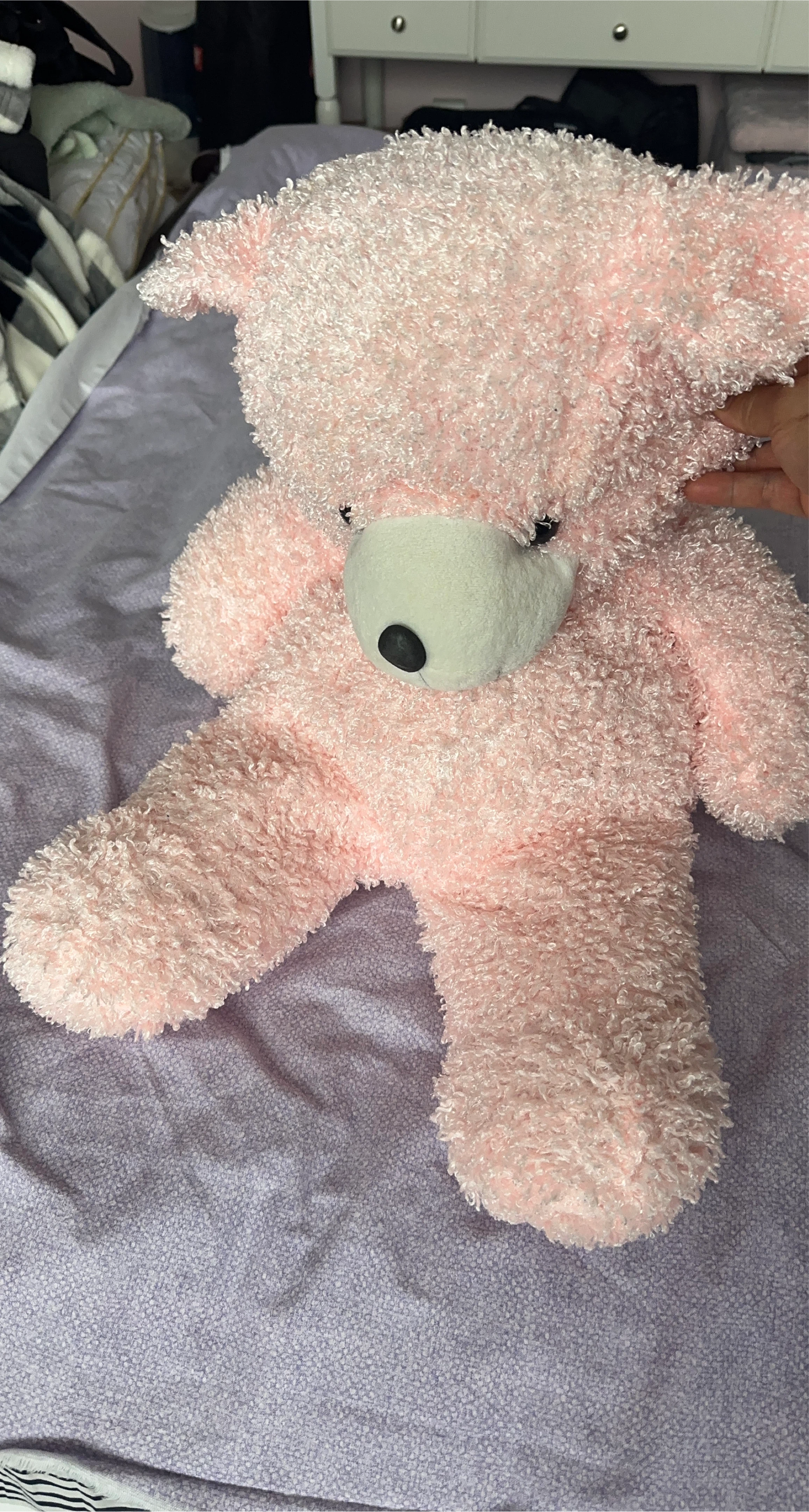 Pink Teddy Bear Plush Toy thumbnail