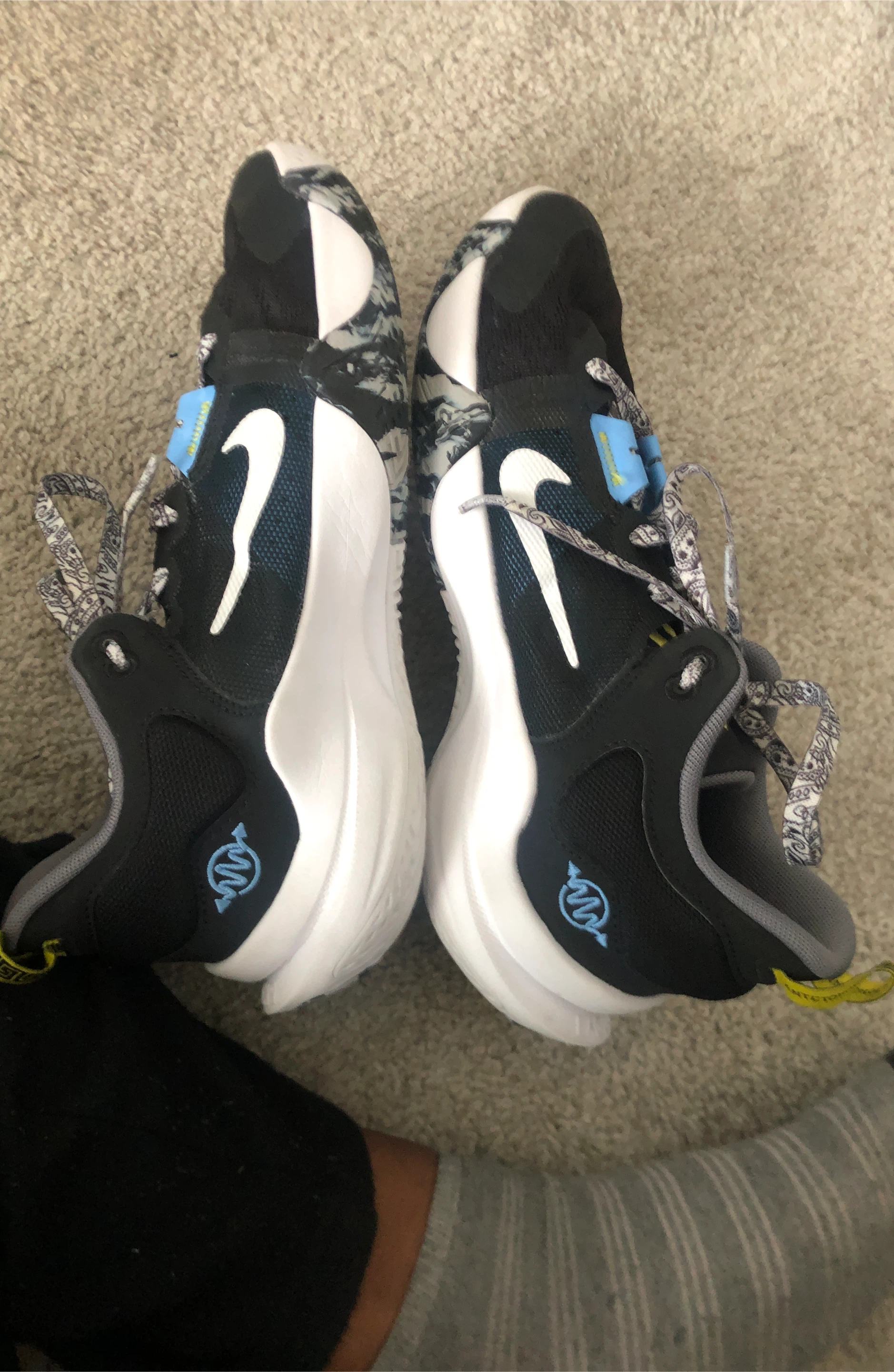 Nike Giannis Basketball Shoes