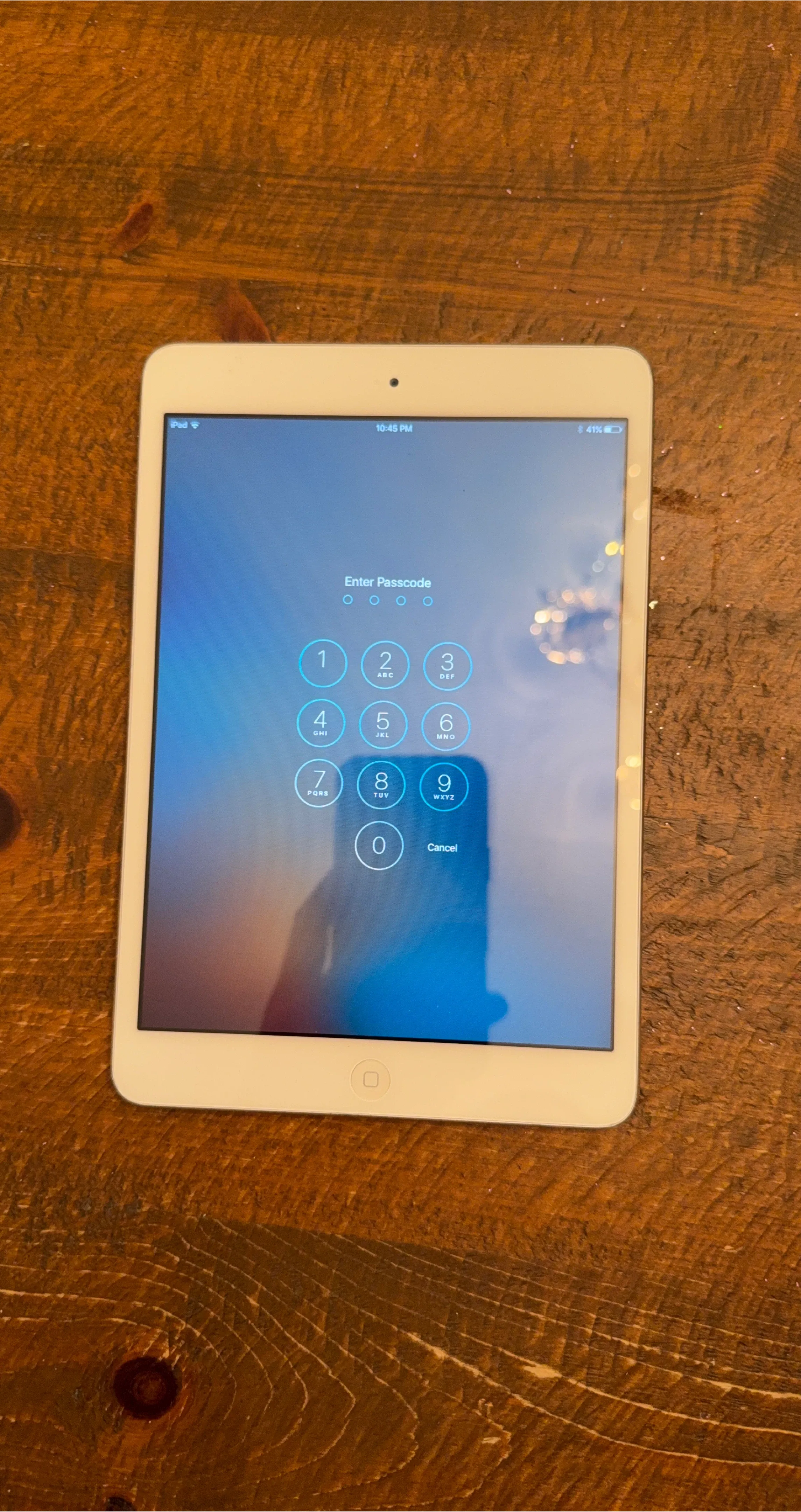 Apple iPad Mini