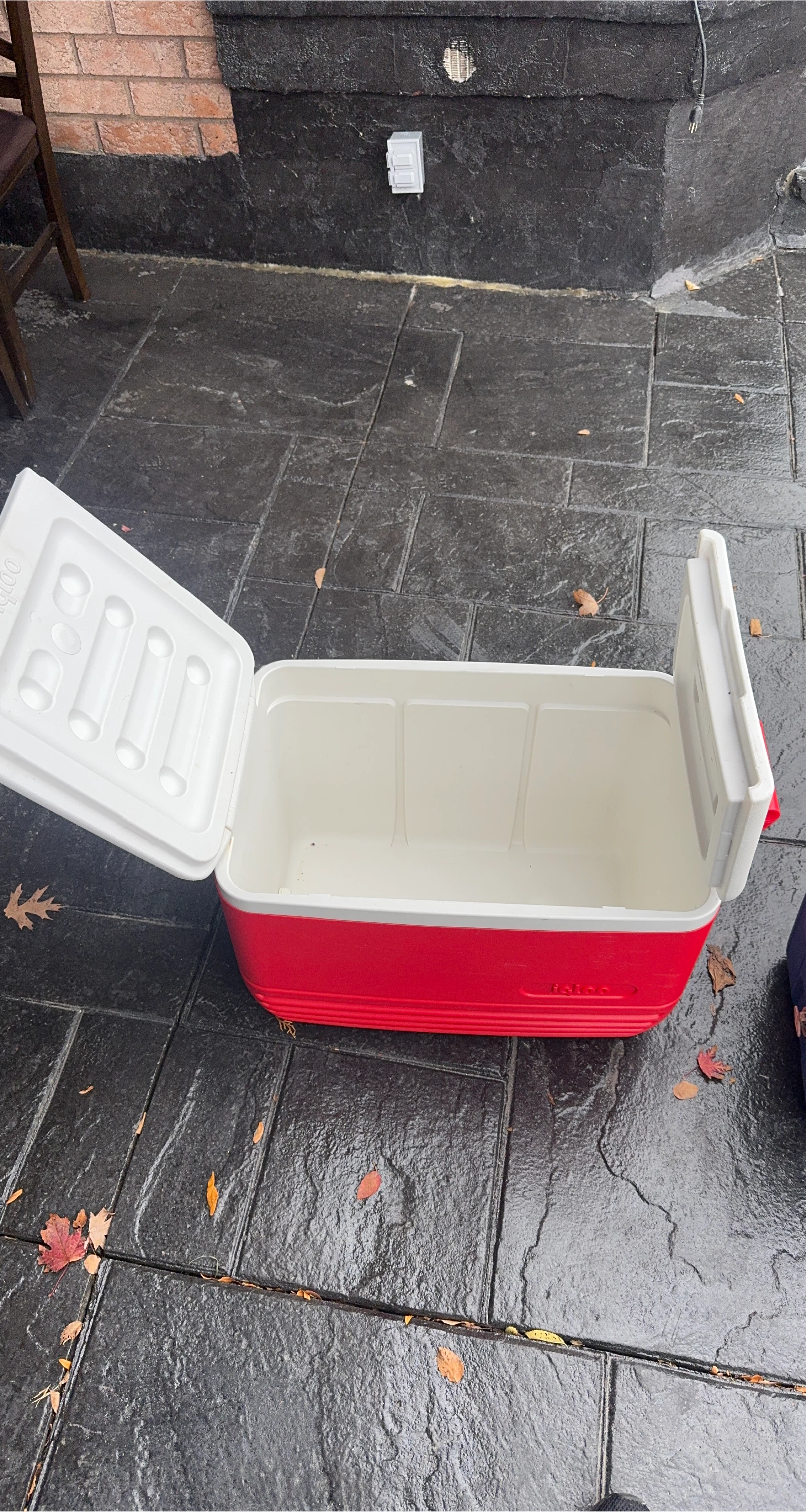 Igloo Cooler - Red and White thumbnail