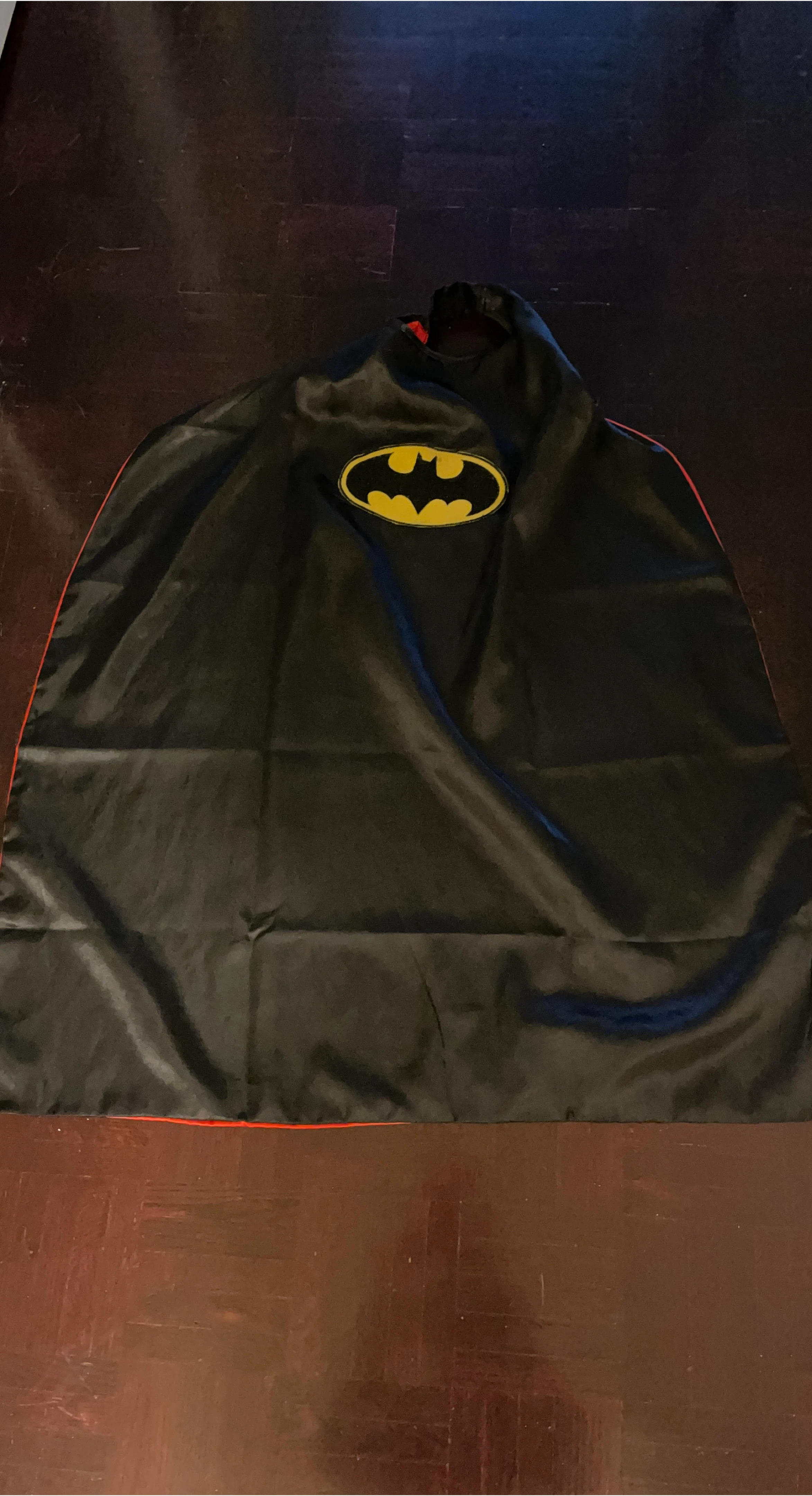 Batman & Superman Reversible Cape thumbnail
