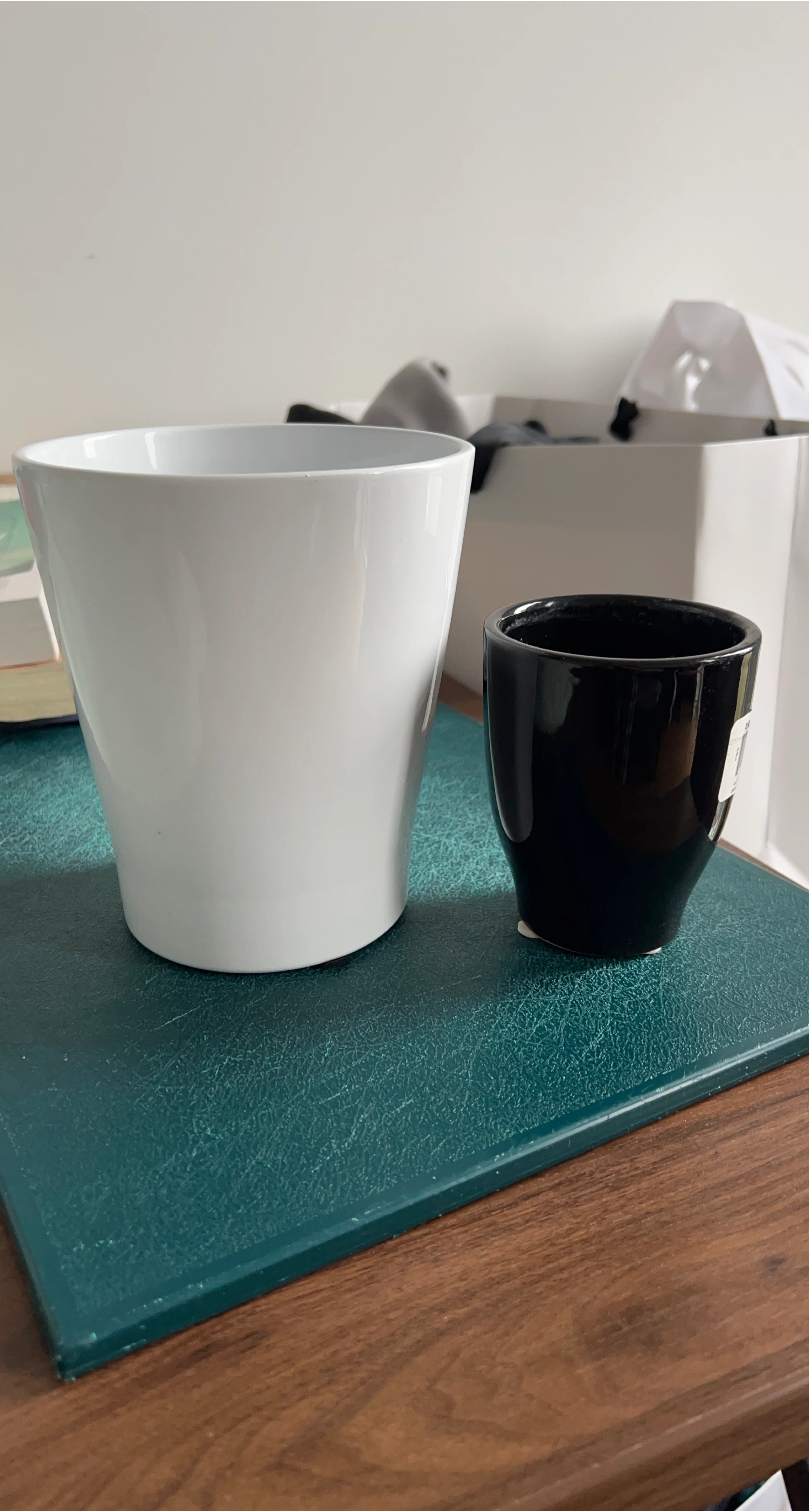 White & Black Flower Pots thumbnail