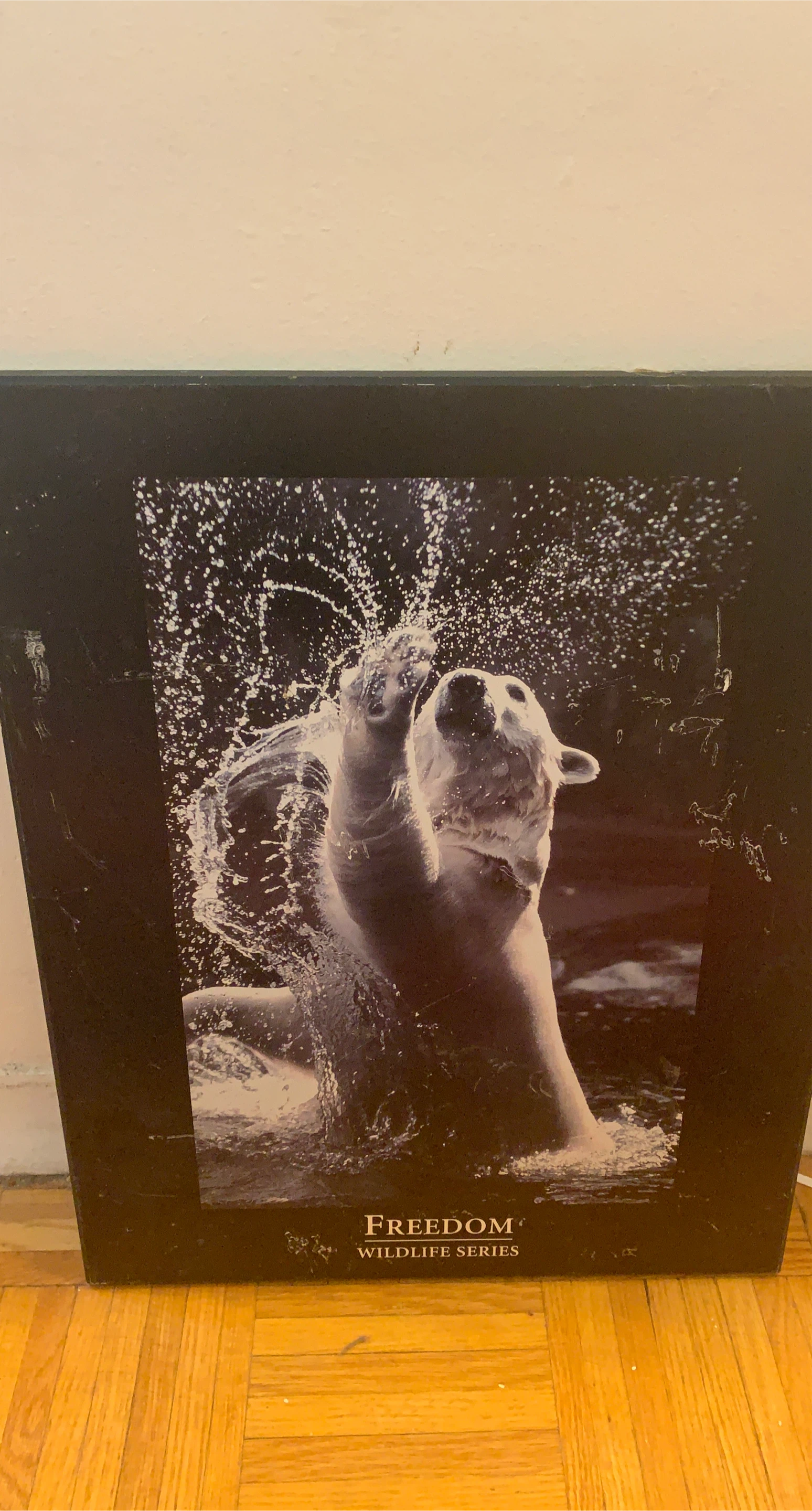 Freedom Wildlife Series Polar Bear Print thumbnail