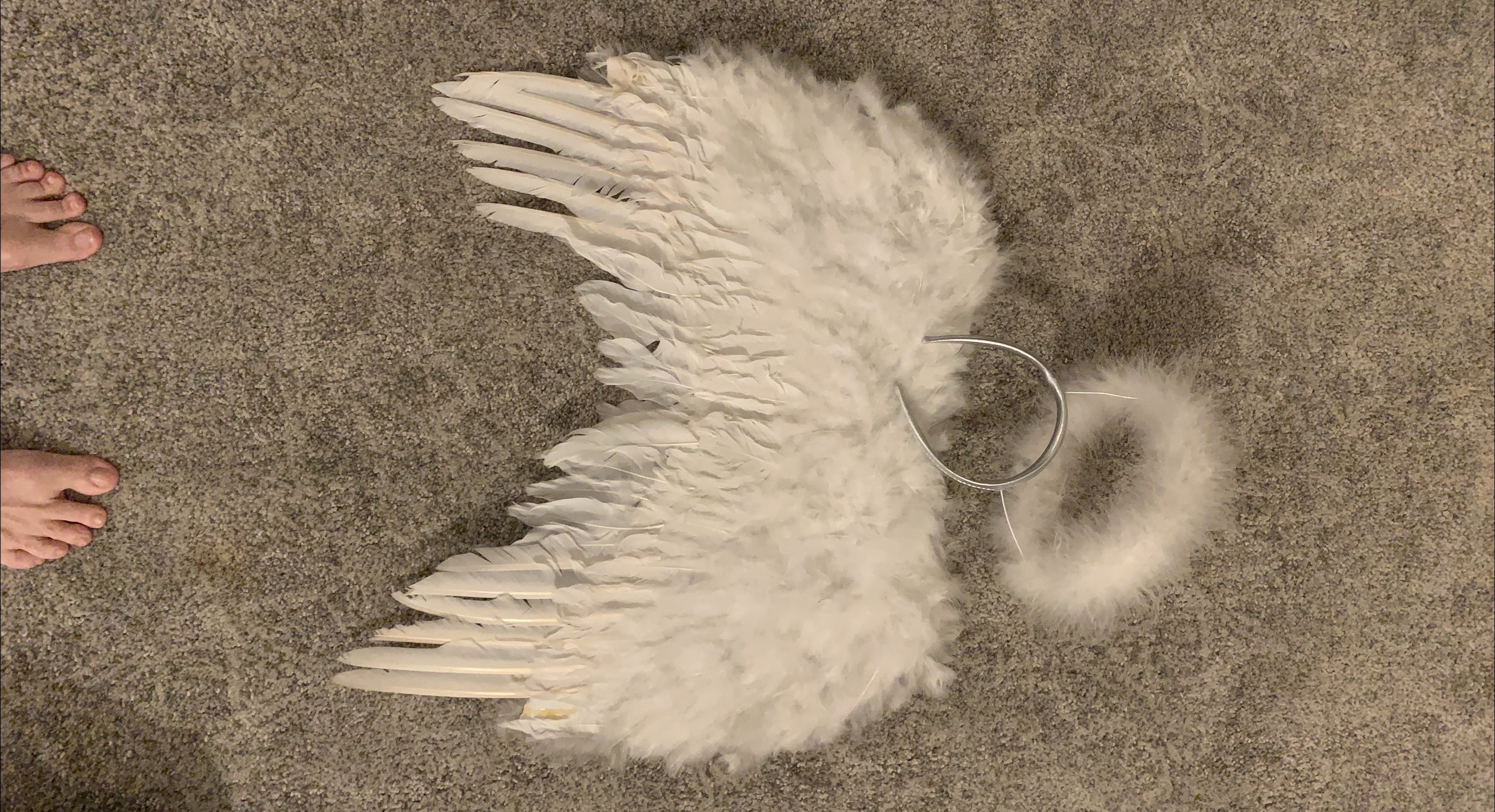 Angel Wings and Halo Costume Accessory thumbnail