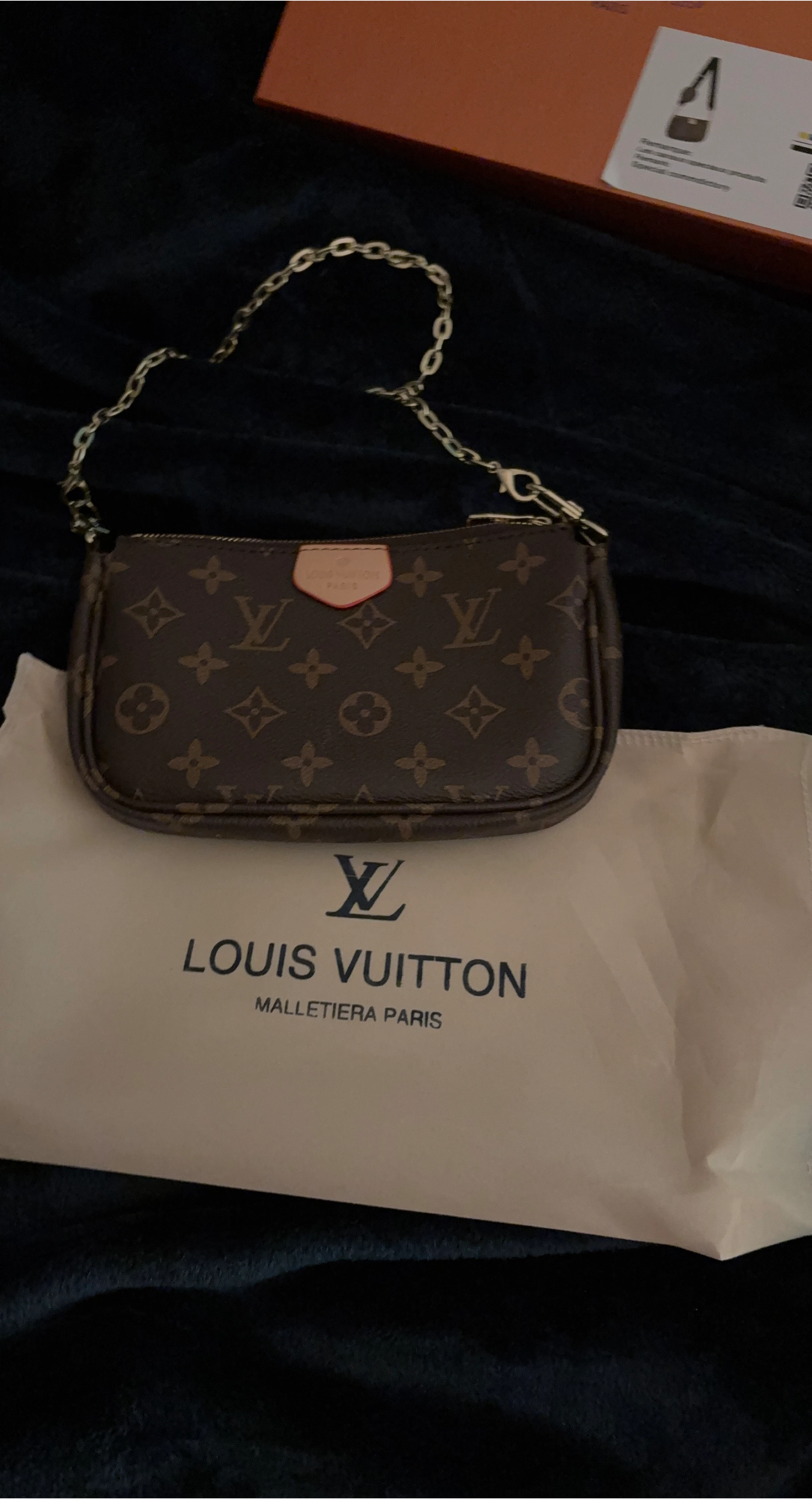 Louis Vuitton Mini Pochette Accessoires thumbnail