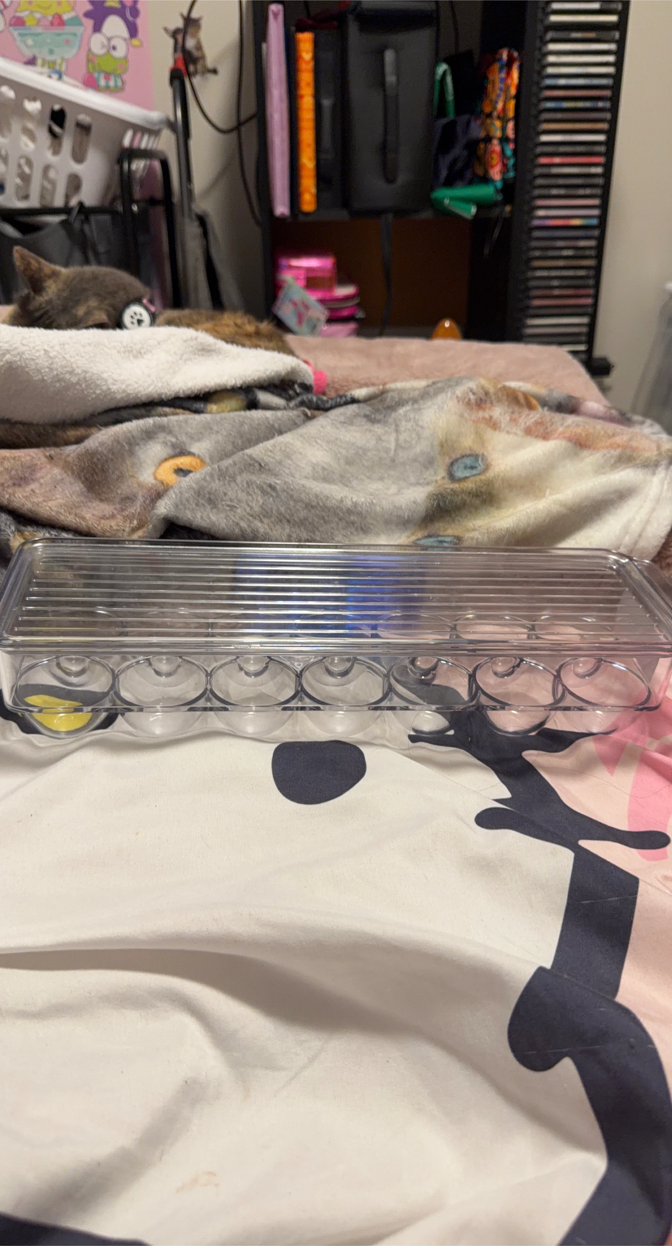 Clear Plastic Egg Holder image indicator(1)