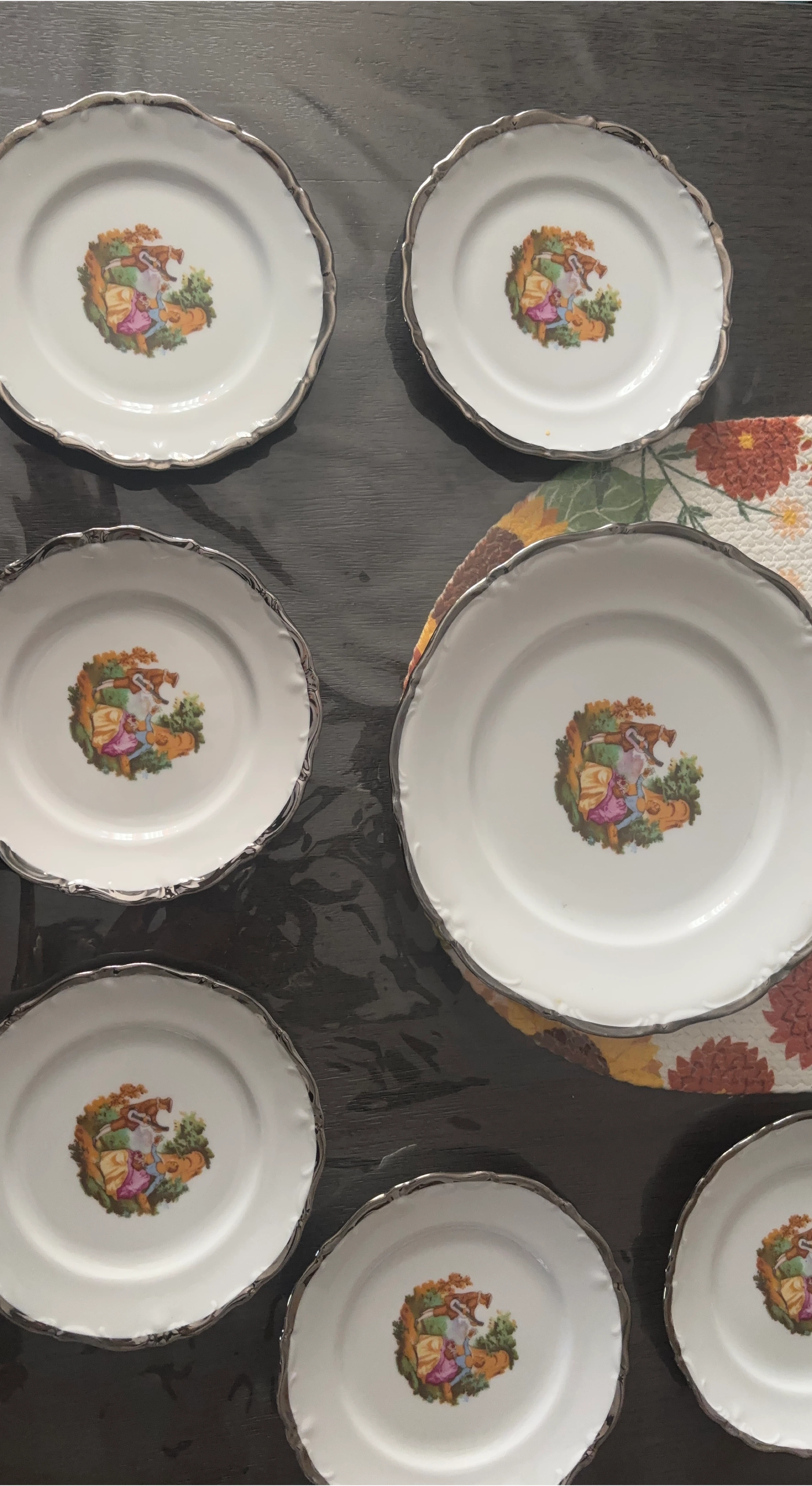 Vintage Decorative Plates