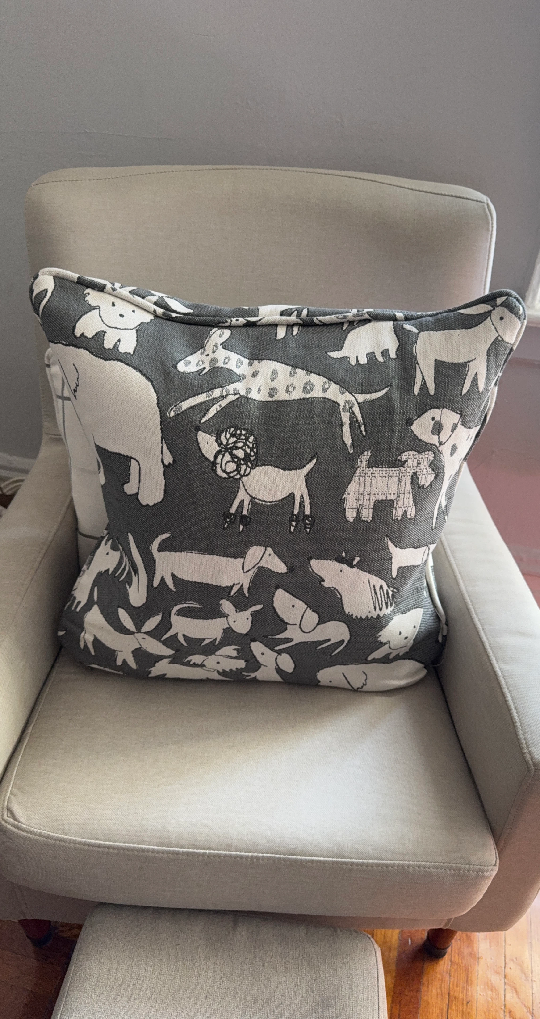 🥕Raymour & Flannigan Decorative Throw Pillow - Dog Pattern thumbnail