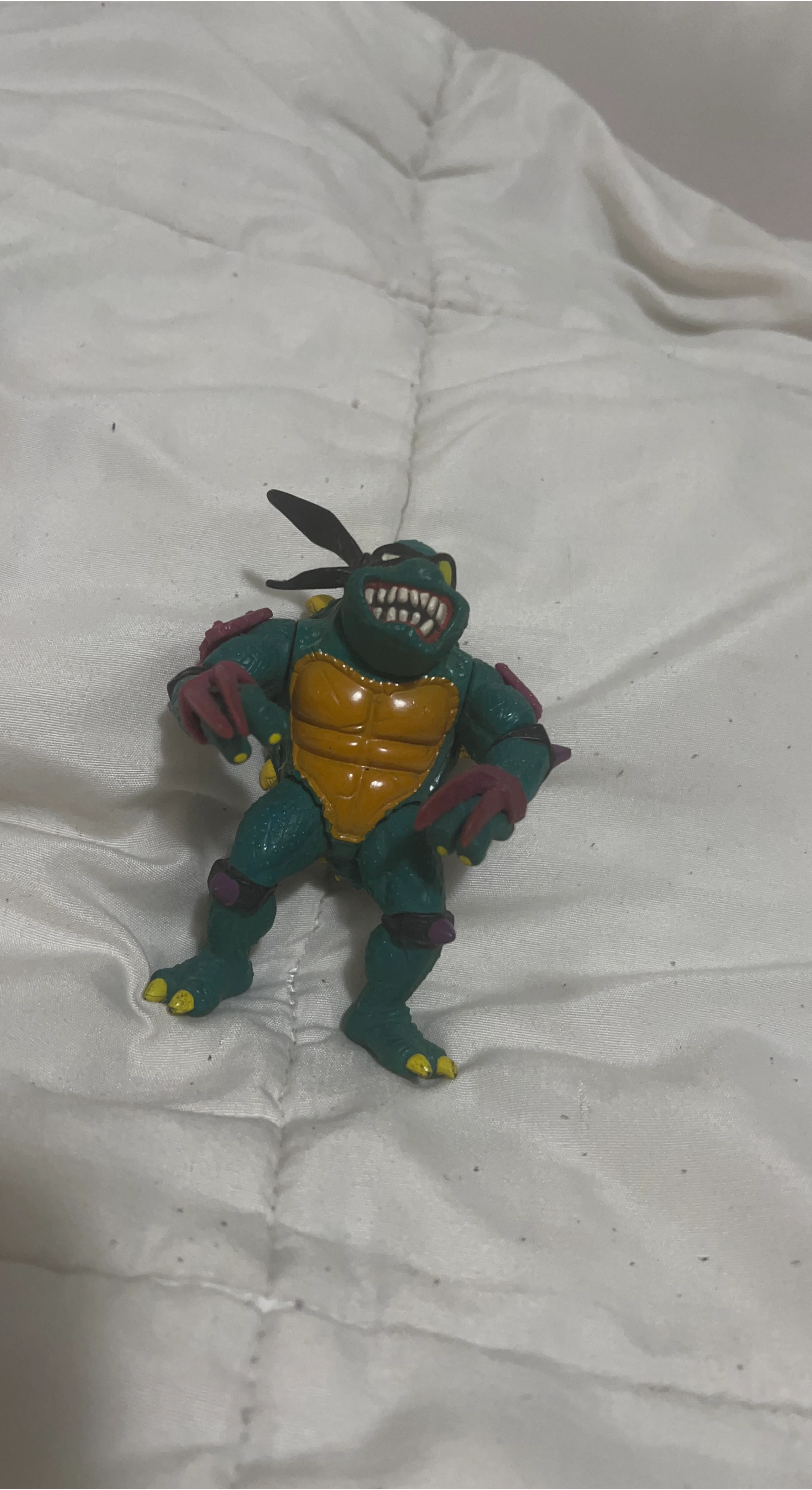 Teenage Mutant Ninja Turtle Action Figure