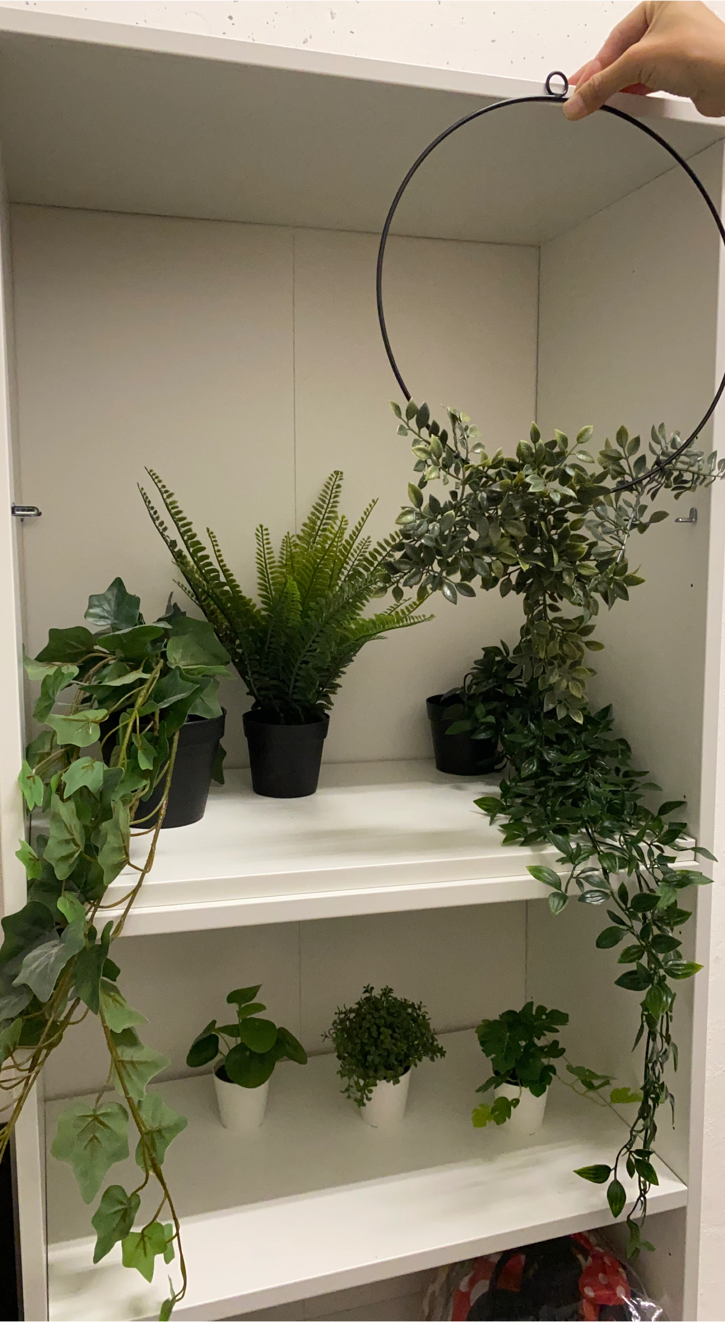 Artificial Plants & Hanging Decor image indicator(1)