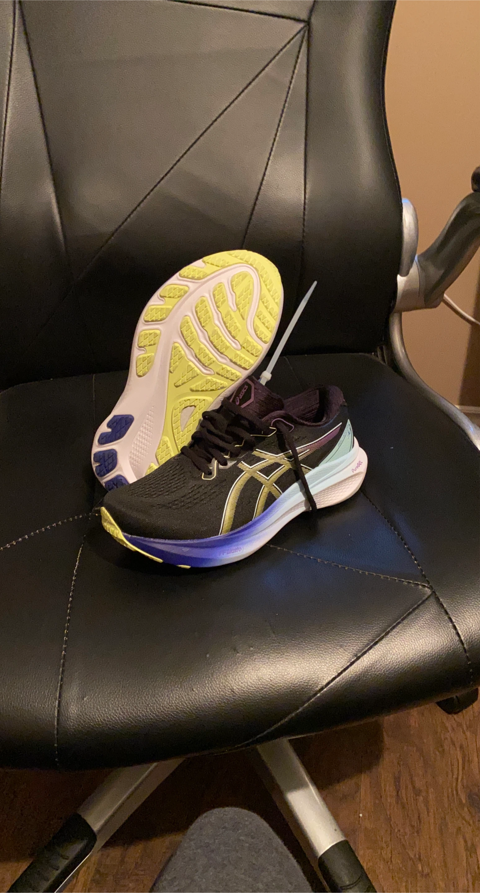 Asics Gel-Kayano Women's Running Shoes