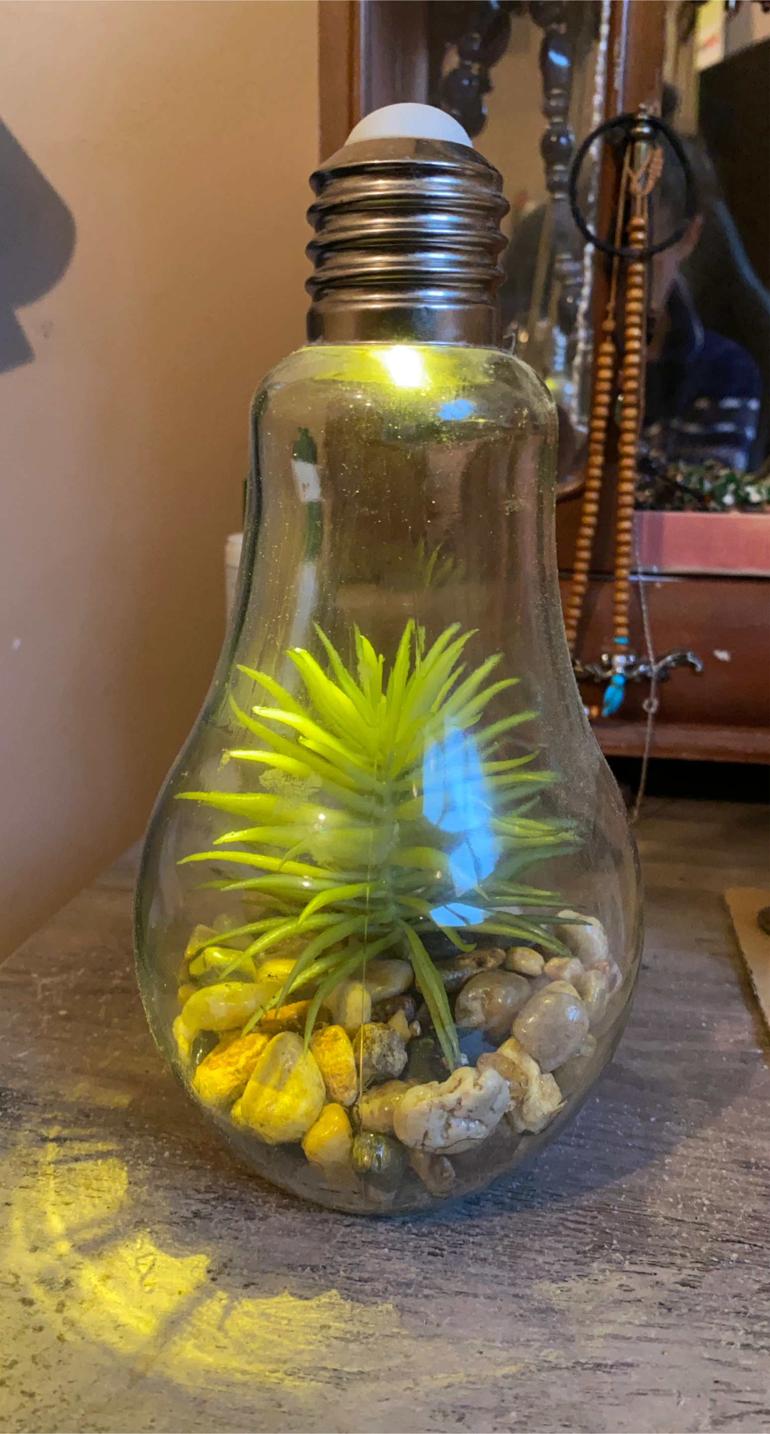 Light Bulb Terrarium